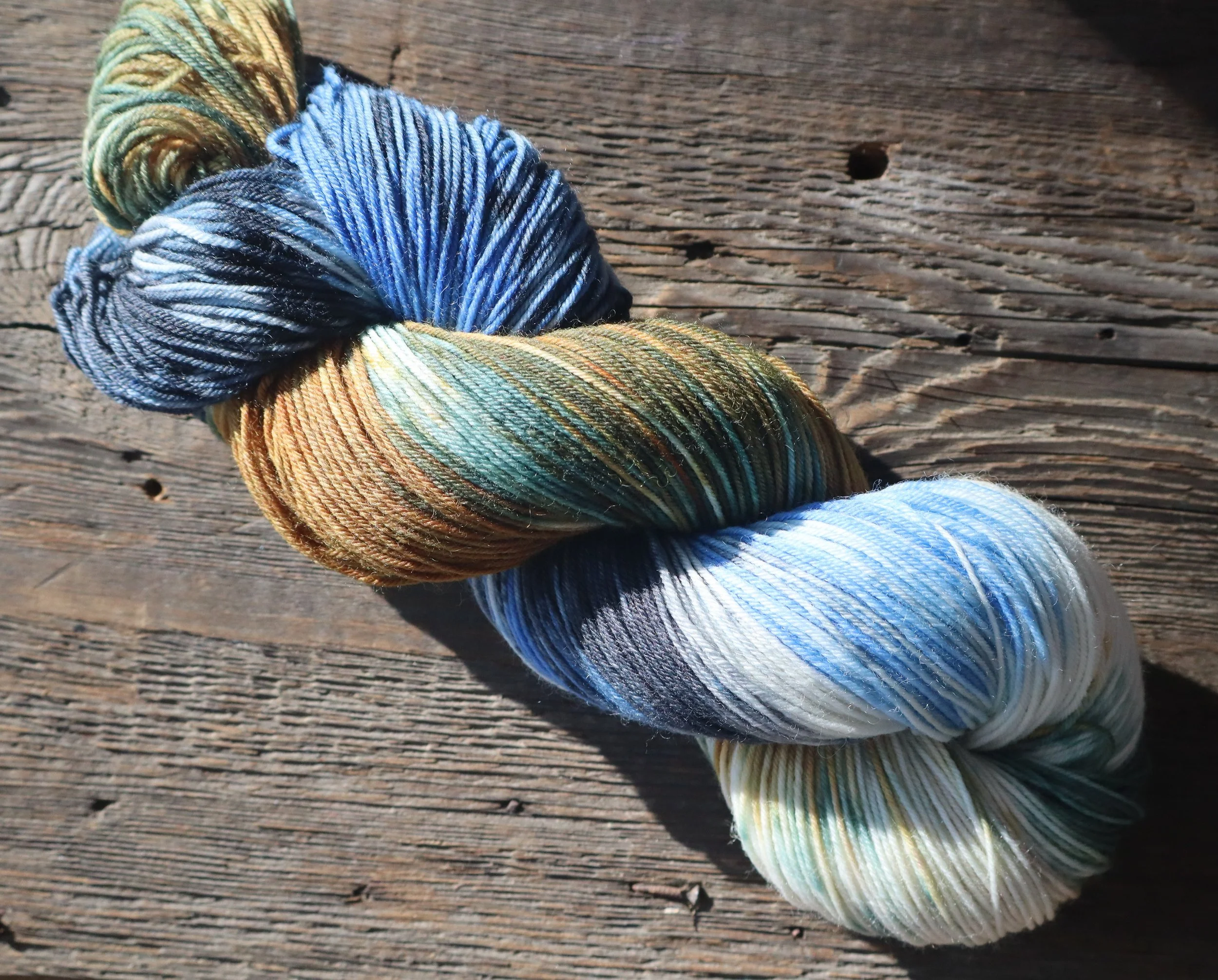 Bluest of Berries 4.JPG