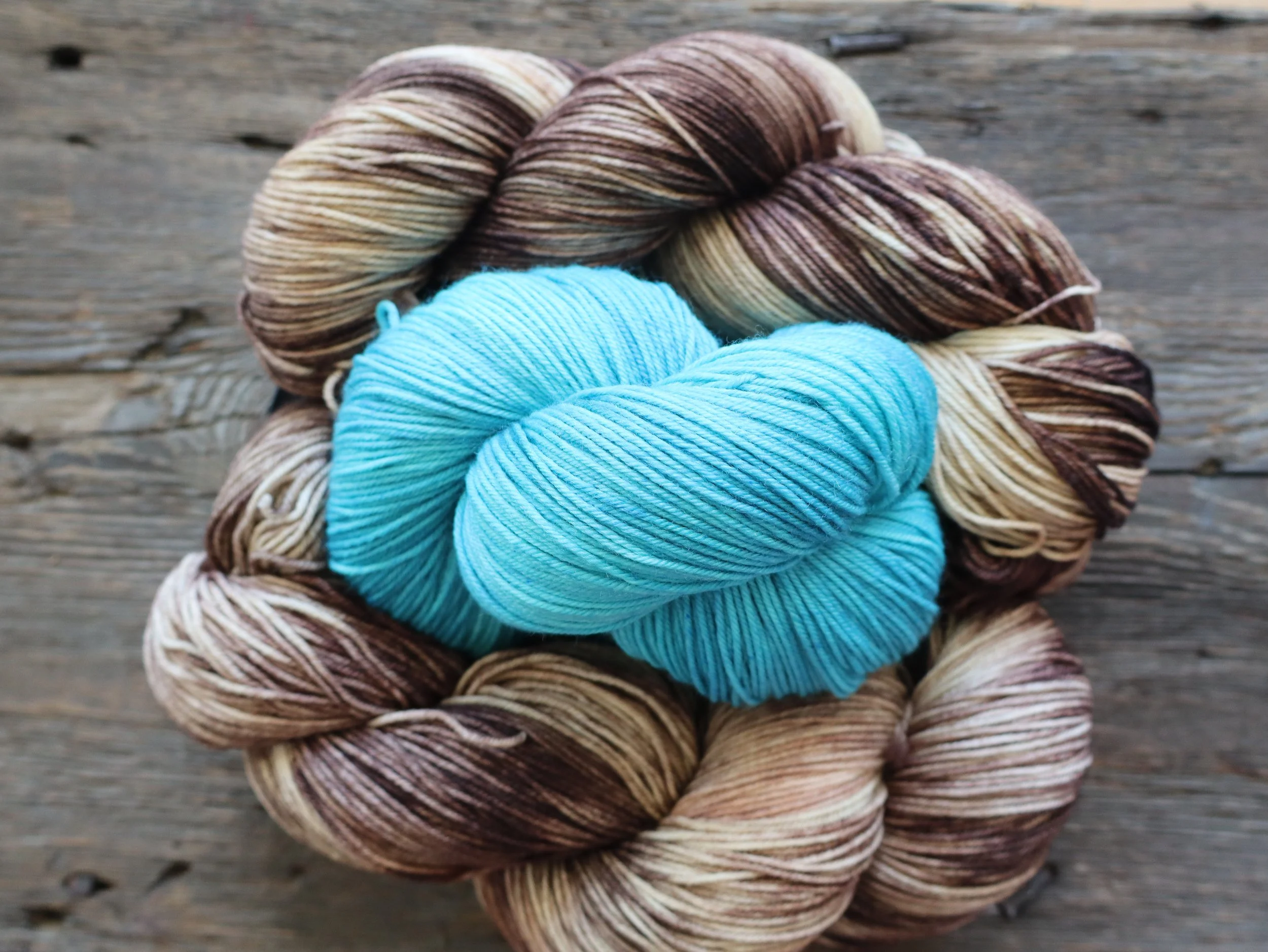 The American Robin: The Nest