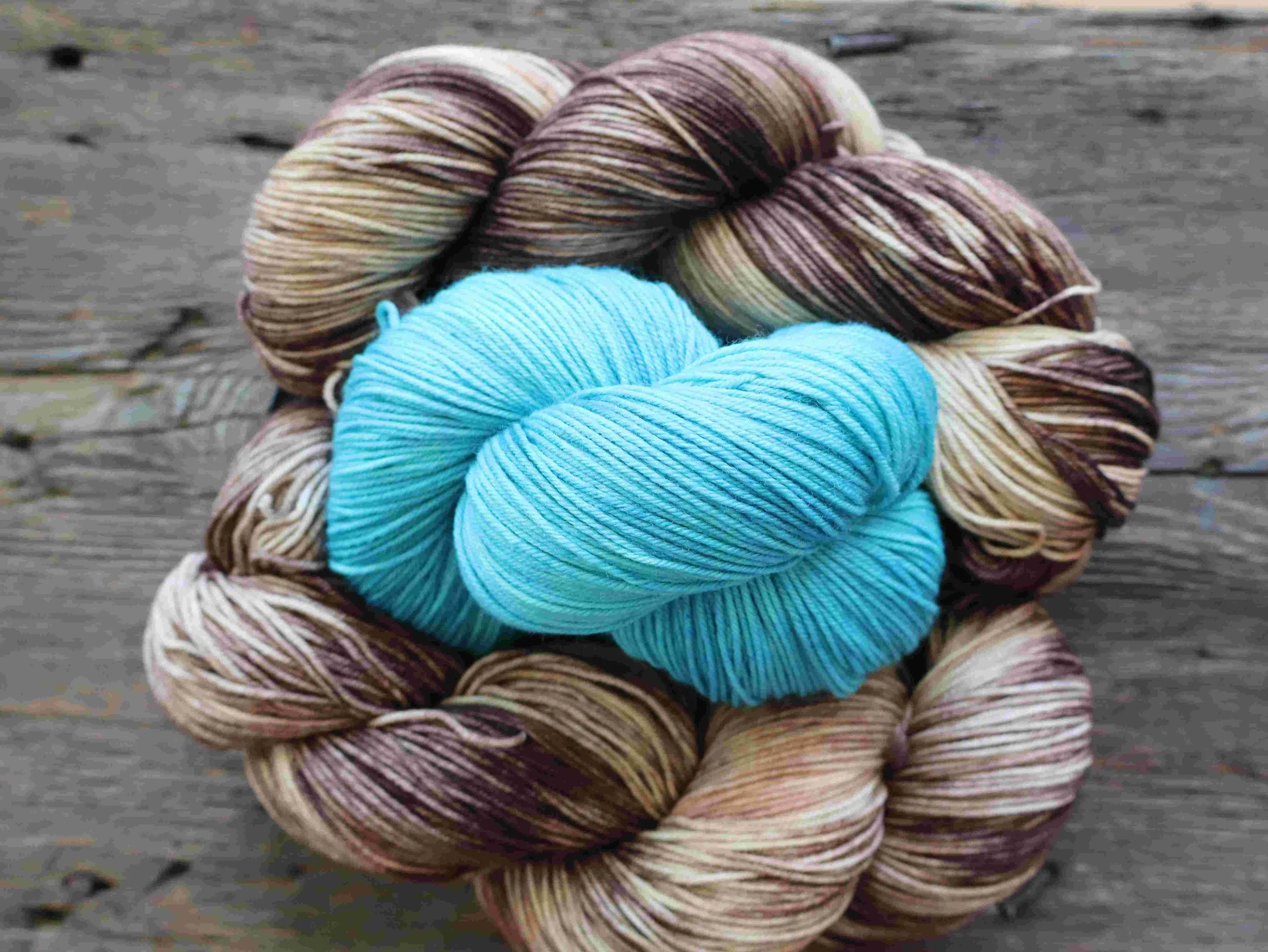 The American Robin: The Egg