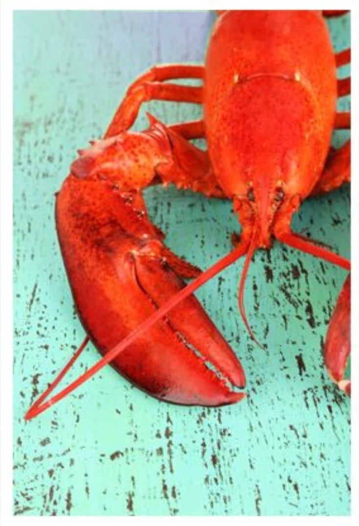 bright red-orange lobster on a weathered aqua table
