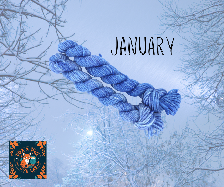 Blue skein of yarn against a snowy, leafless tree background with the word 'January' and a Fox & Owl Dye Lab logo.