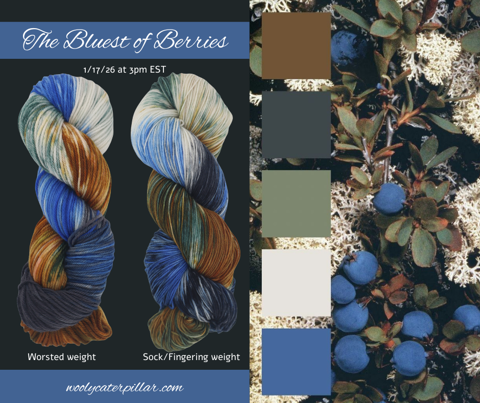 A promotional graphic for a yarn called "The Bluest of Berries" the graphic features two large skeins of multicolored yarn. The right side shows a close-up of berry-producing plants with green leaves, white moss or lichen, and blue berries.