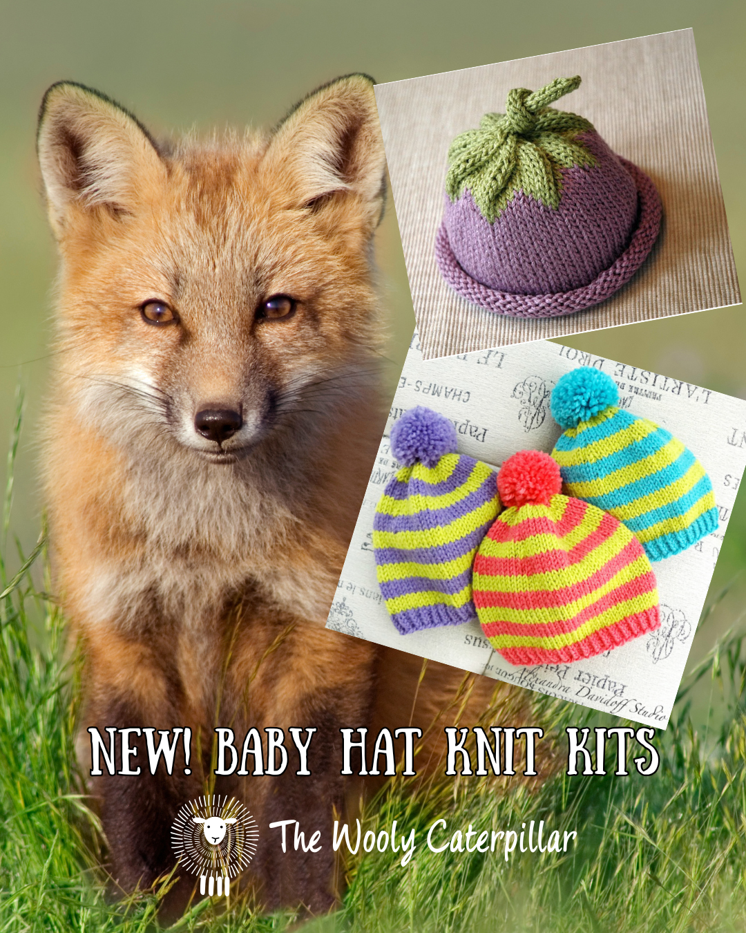 Baby Hat Knit Kits.png