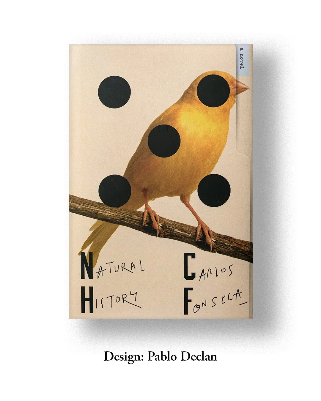 pablo2.jpg