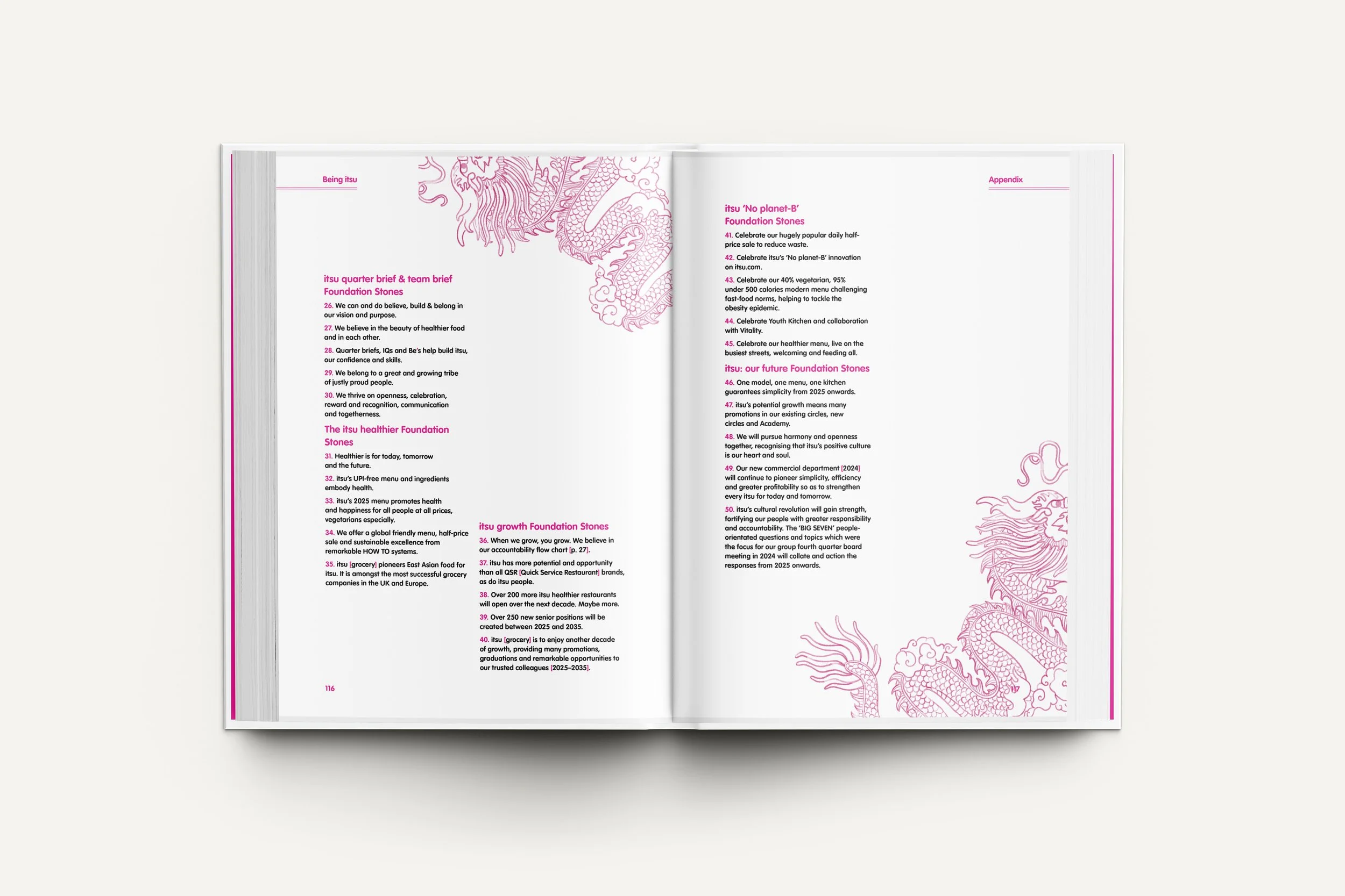 Open book with pink illustrations of a dragon and text in black and pink, including sections titled 'Foundation Stones,' 'Healthier Foundation Stones,' and 'Growth Foundation Stones'.