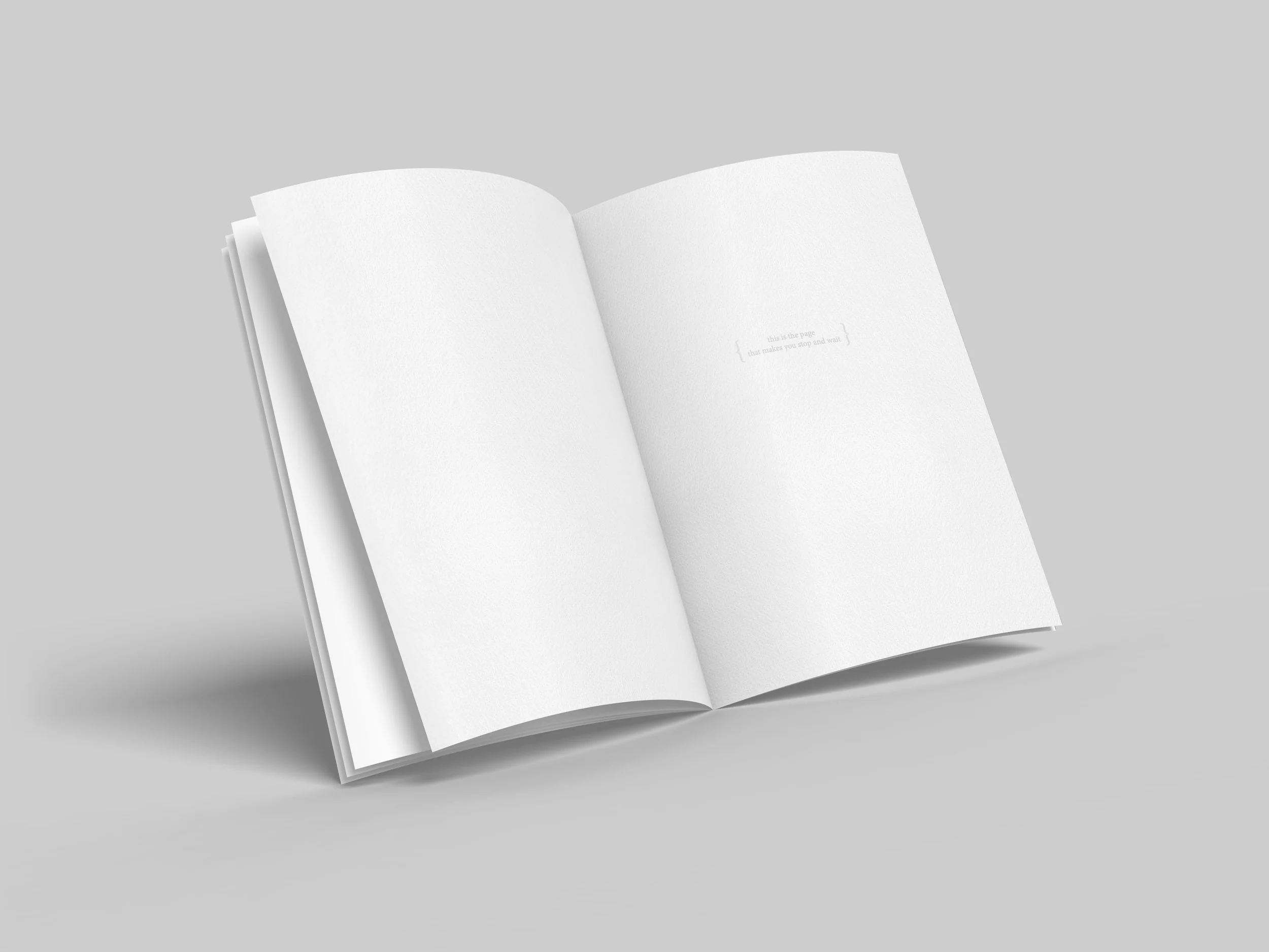 Smallpaintings_1st page_mockup.jpg