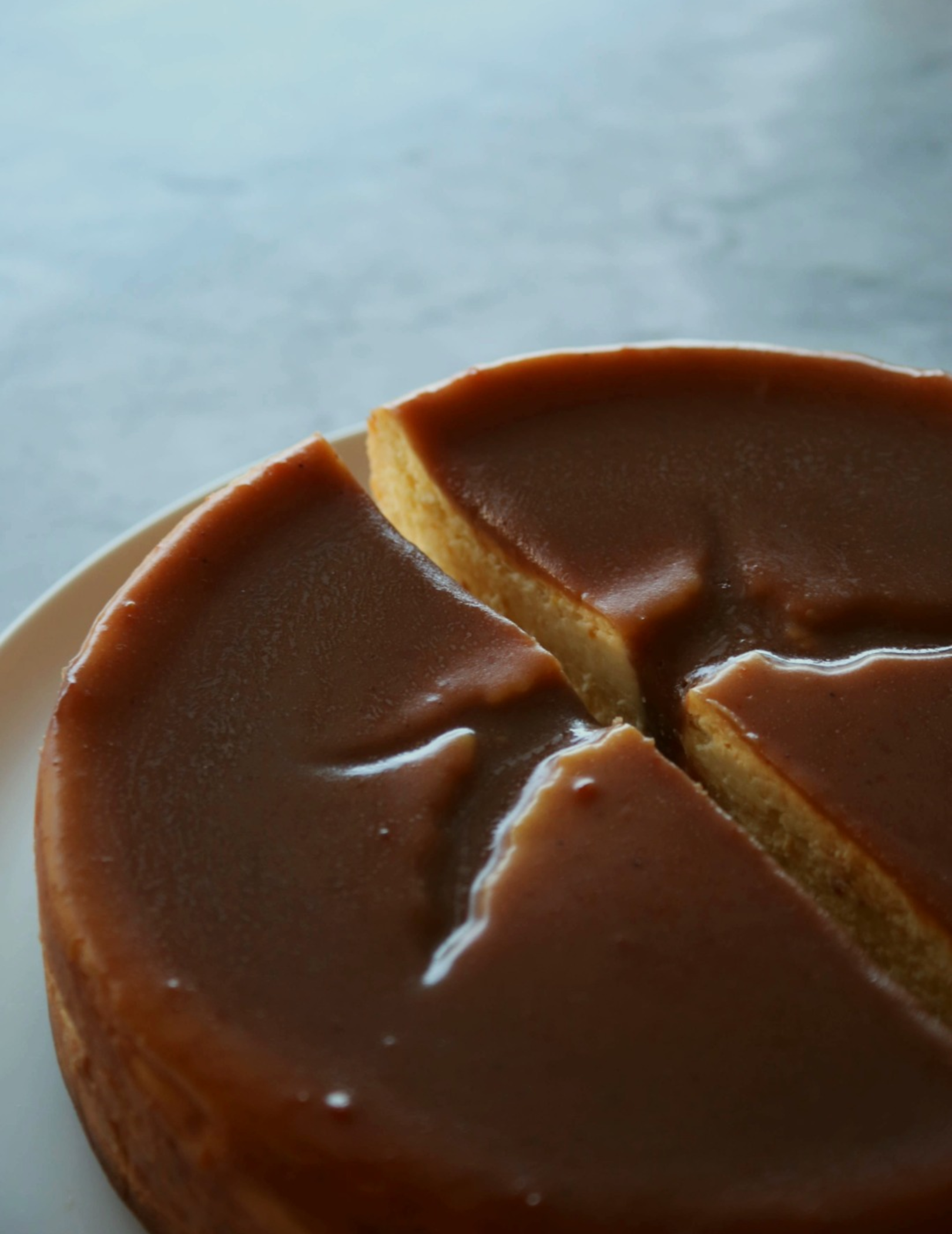 Sealey's Cheesecake.png