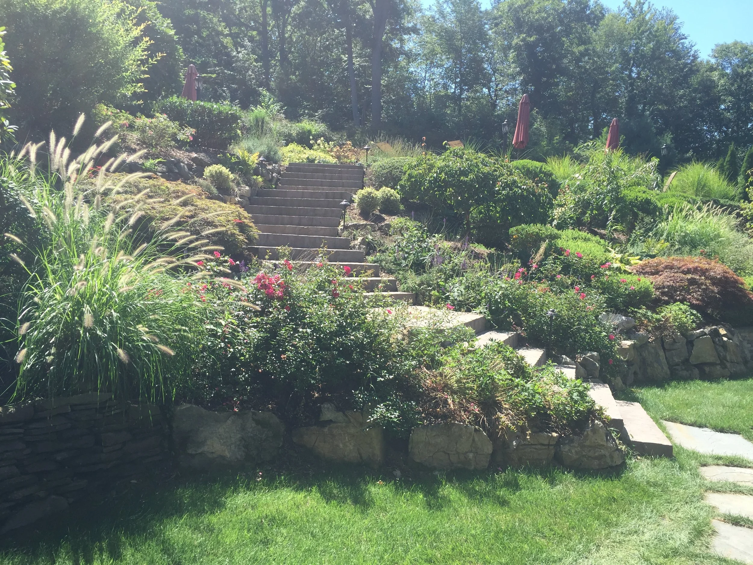Thoughtfully arranged Plantings surrounding walkways and patios in Huntington, NY
