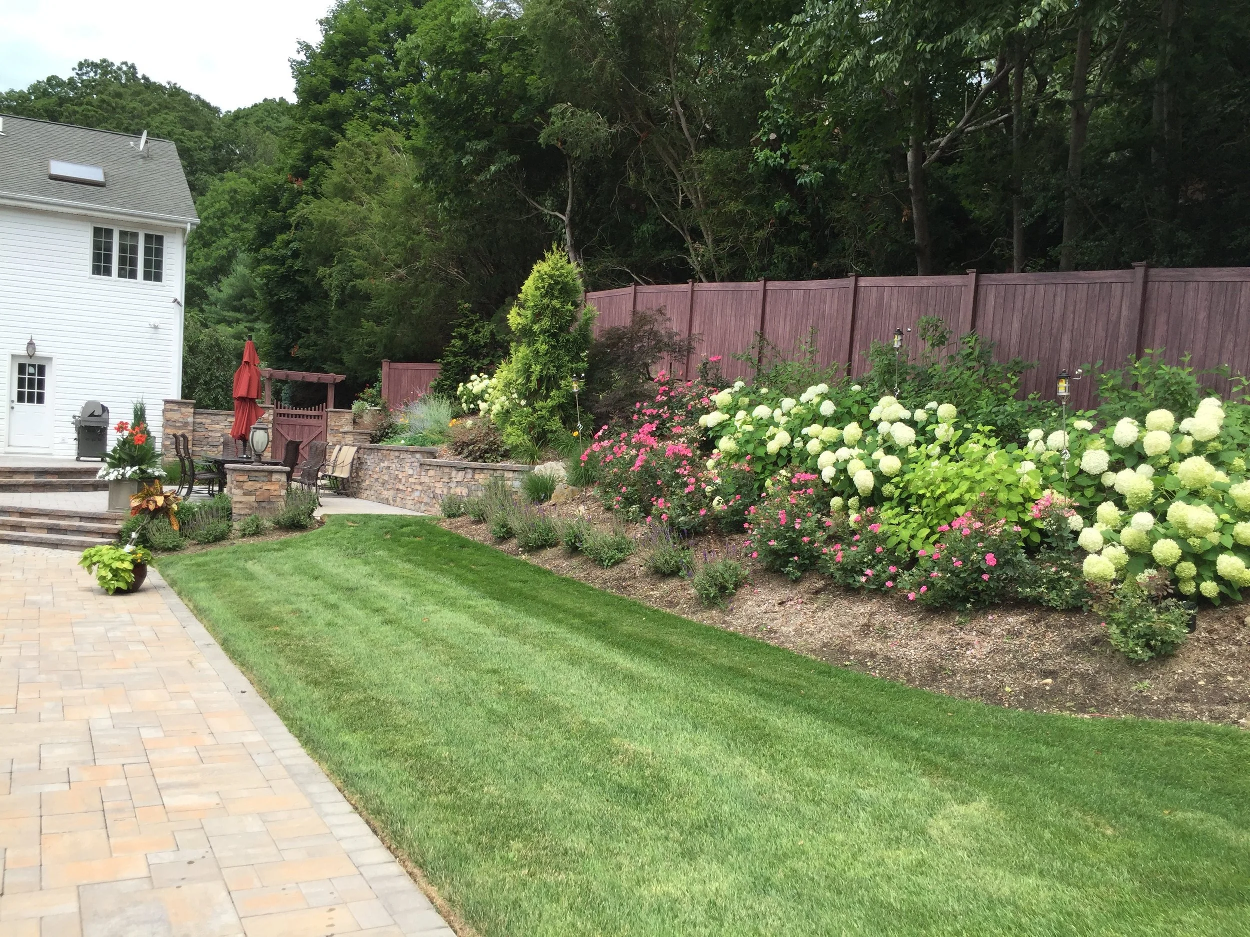 Plantings adding softness to structured landscape design in Port Washington, NY