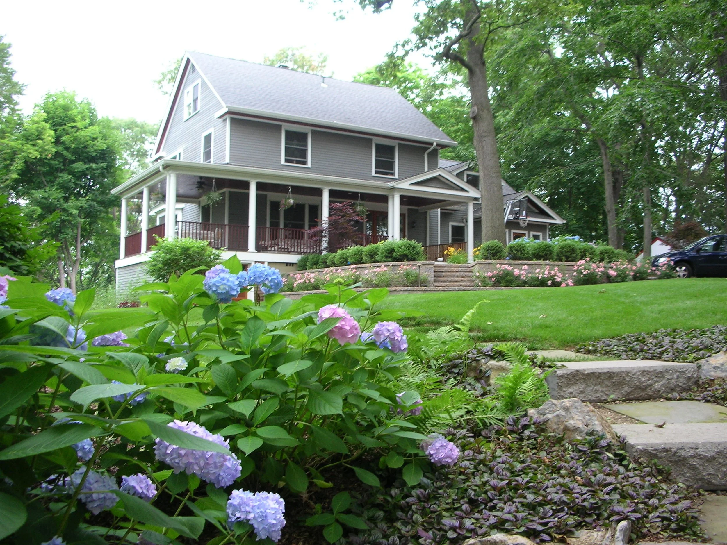 Plantings supporting a low-maintenance landscape design in Port Washington, NY