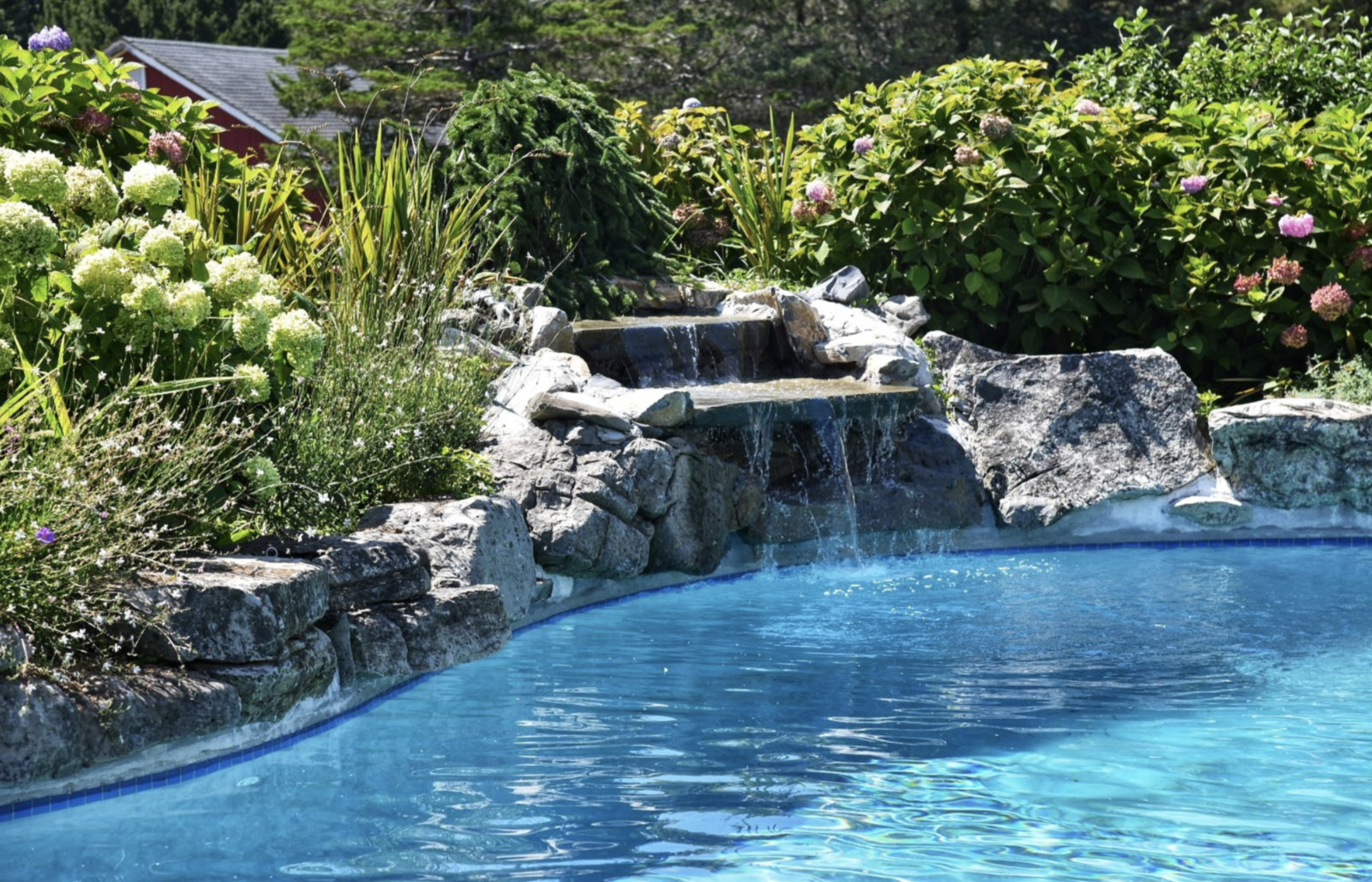 Open lawn space leads toward a swimming pool in a Mt. Sinai, NY backyard