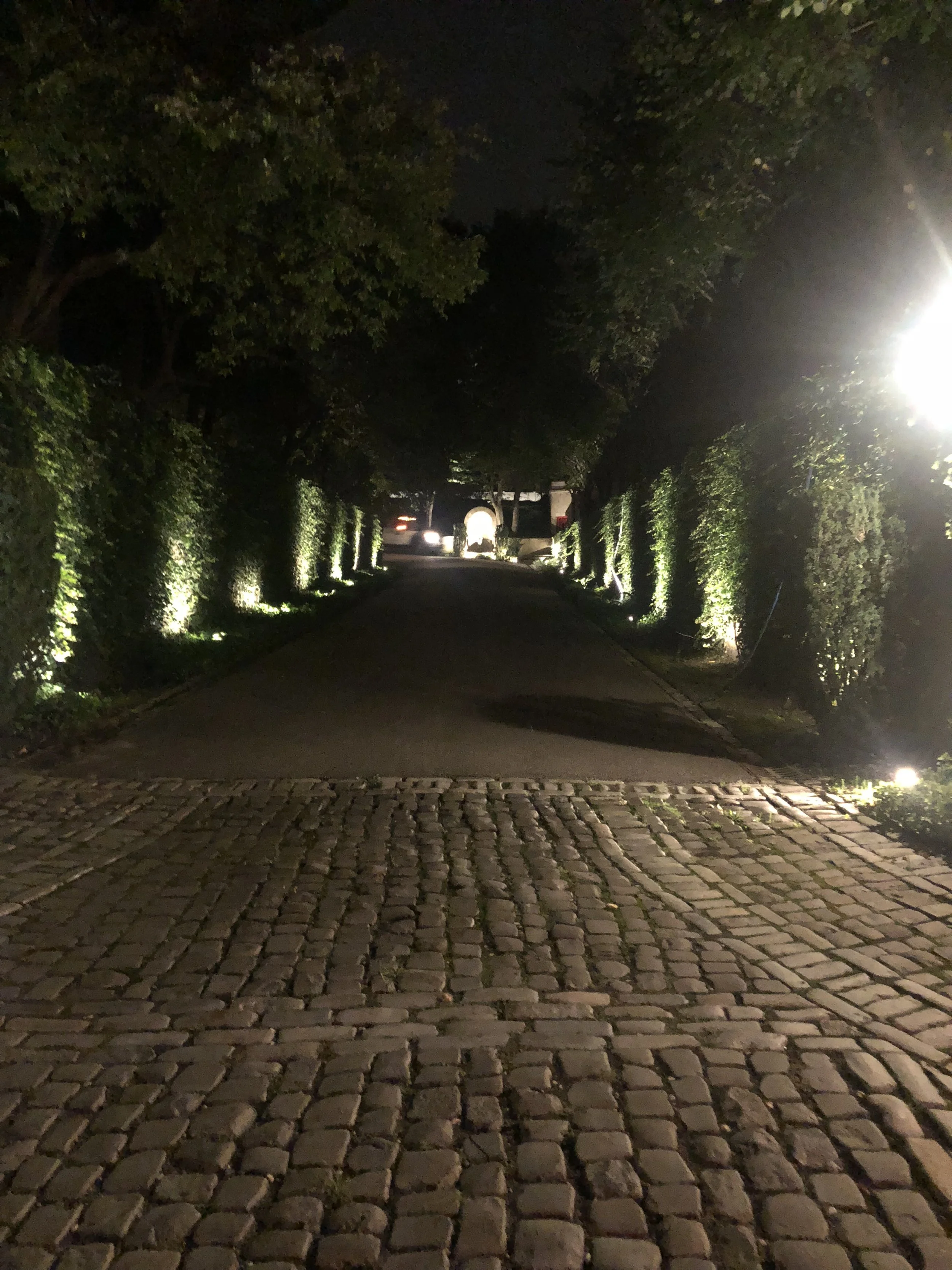 Popular Pavers to Choose for Masonry Driveways in Syosset, NY