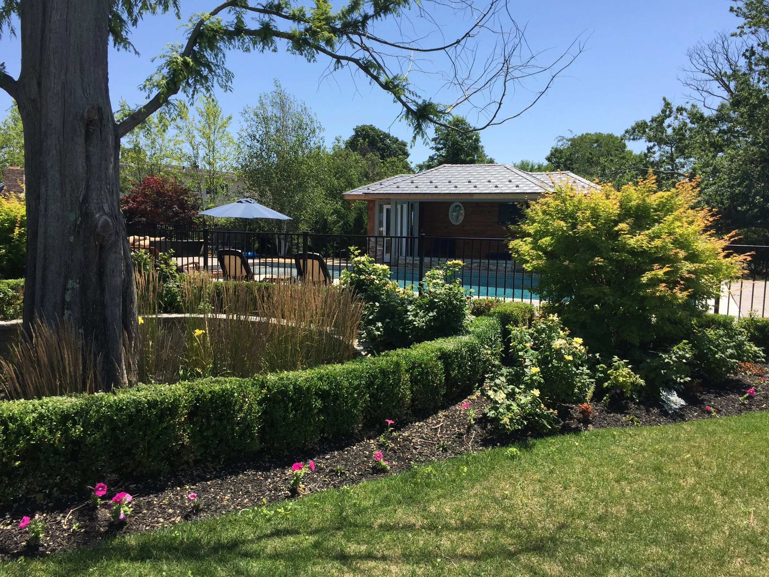 6 Landscape Design Principles That Will Transform Your Long Island, NY, Property