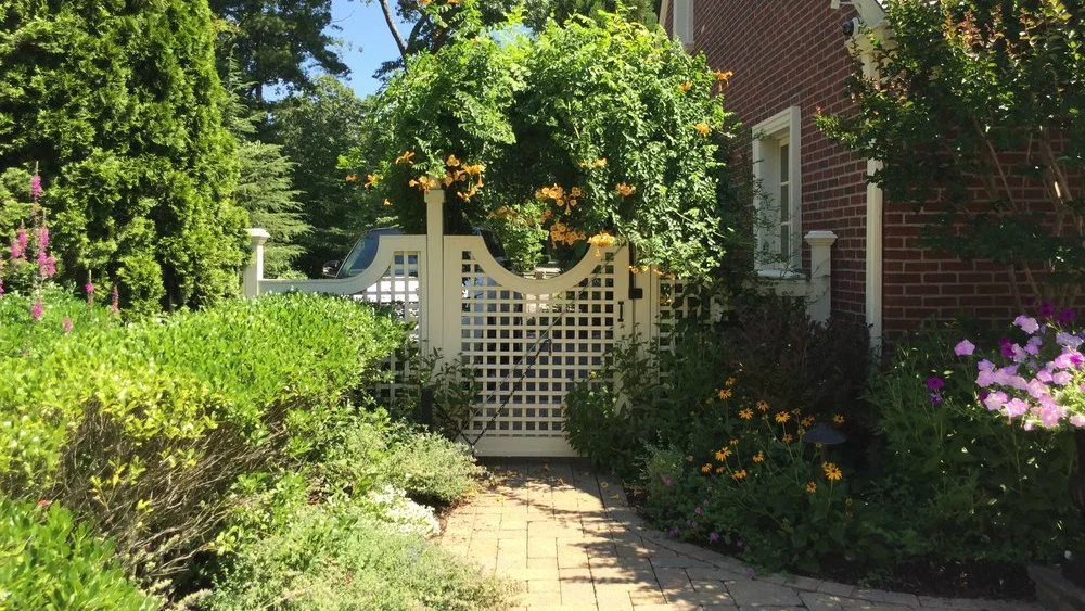 7 Plantings for Colorful Summertime Long Island Landscaping