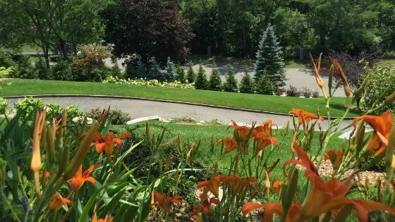 Choosing Native Plantings for Your Long Island Home