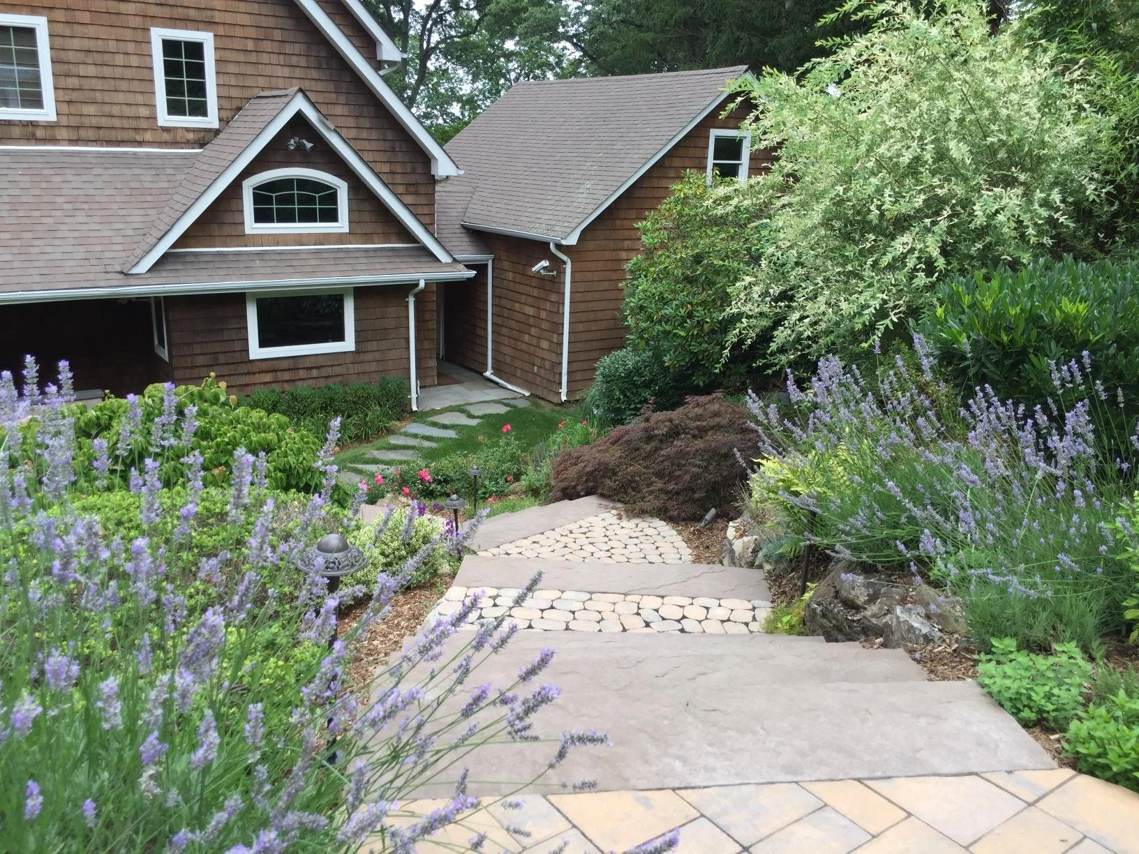 Outdoor living planting design with layered shrubs, perennials, and stone walkways in Manhasset, NY