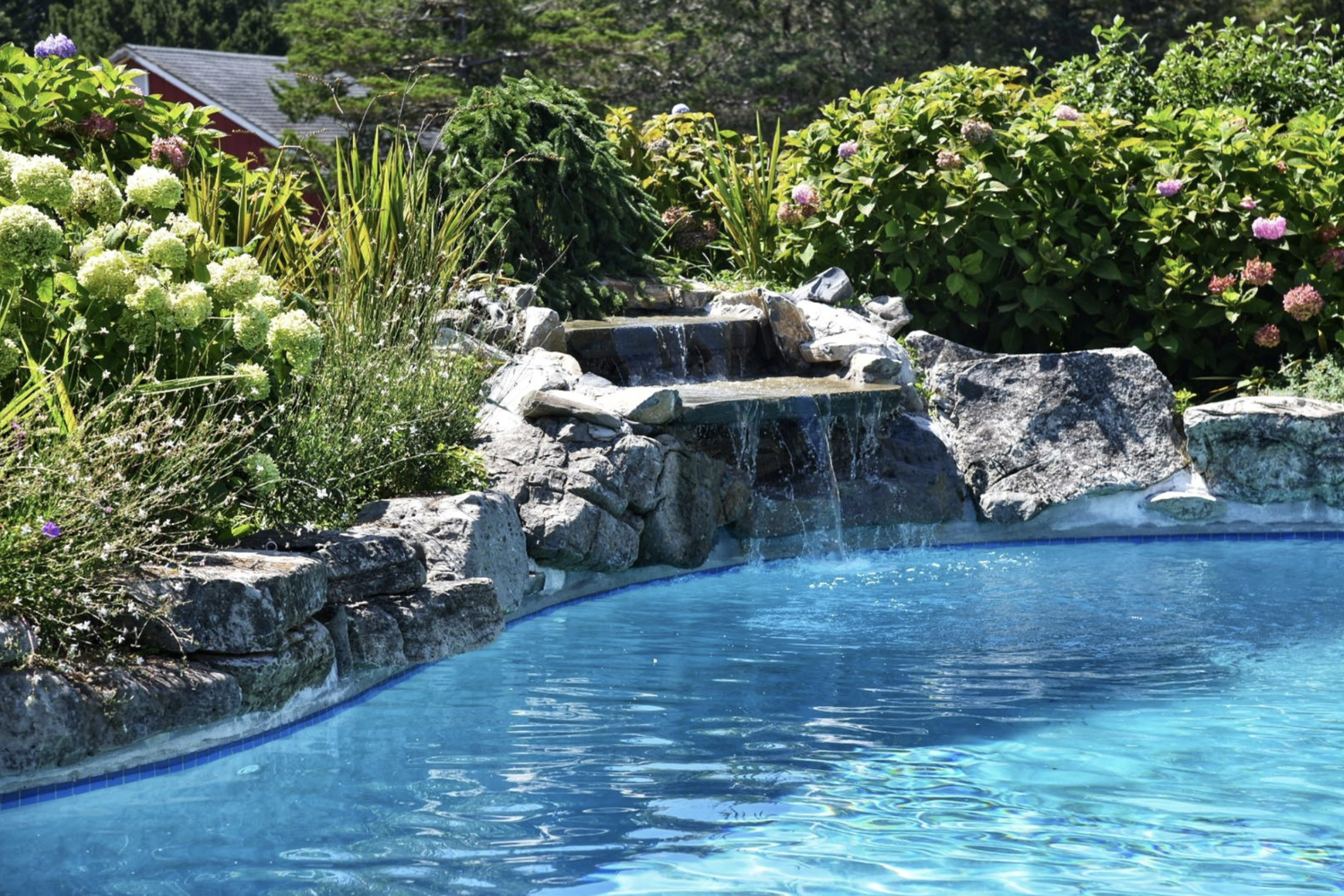 Backyard swimming pool with a rock waterfall feature surrounded by lush green plants and colorful flowers.