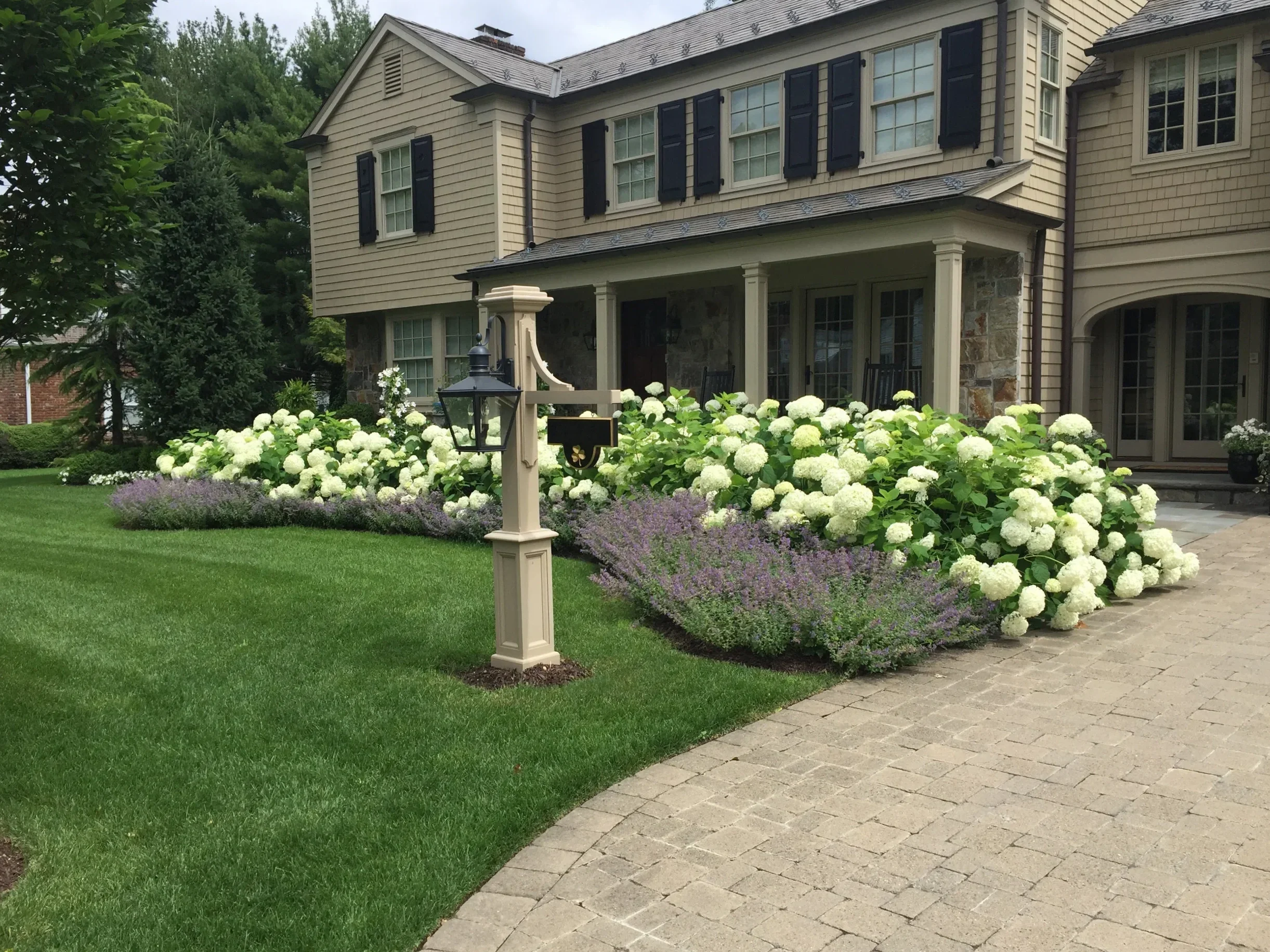 Front yard landscape design enhancing curb appeal with hydrangeas, lighting, and architectural balance in Brookville, NY