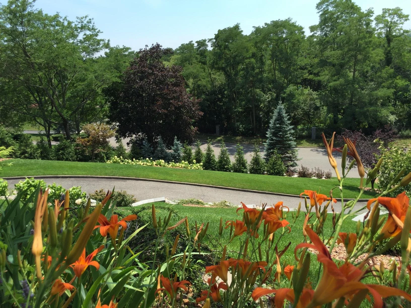 Landscape design plans illustrating spatial flow, elevation changes, and long-term planting strategy in Stony Brook, NY