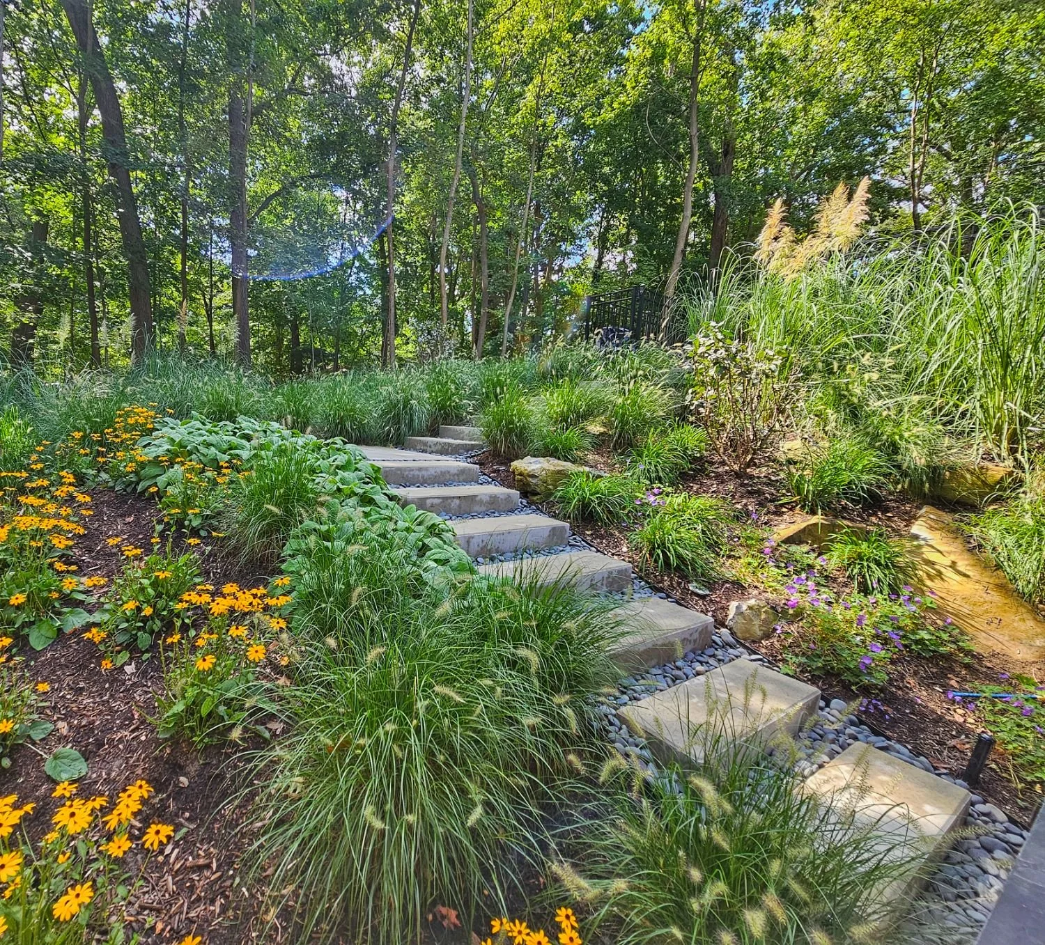 Sustainable plantings selected for local soil and climate conditions in Lloyd Harbor, NY