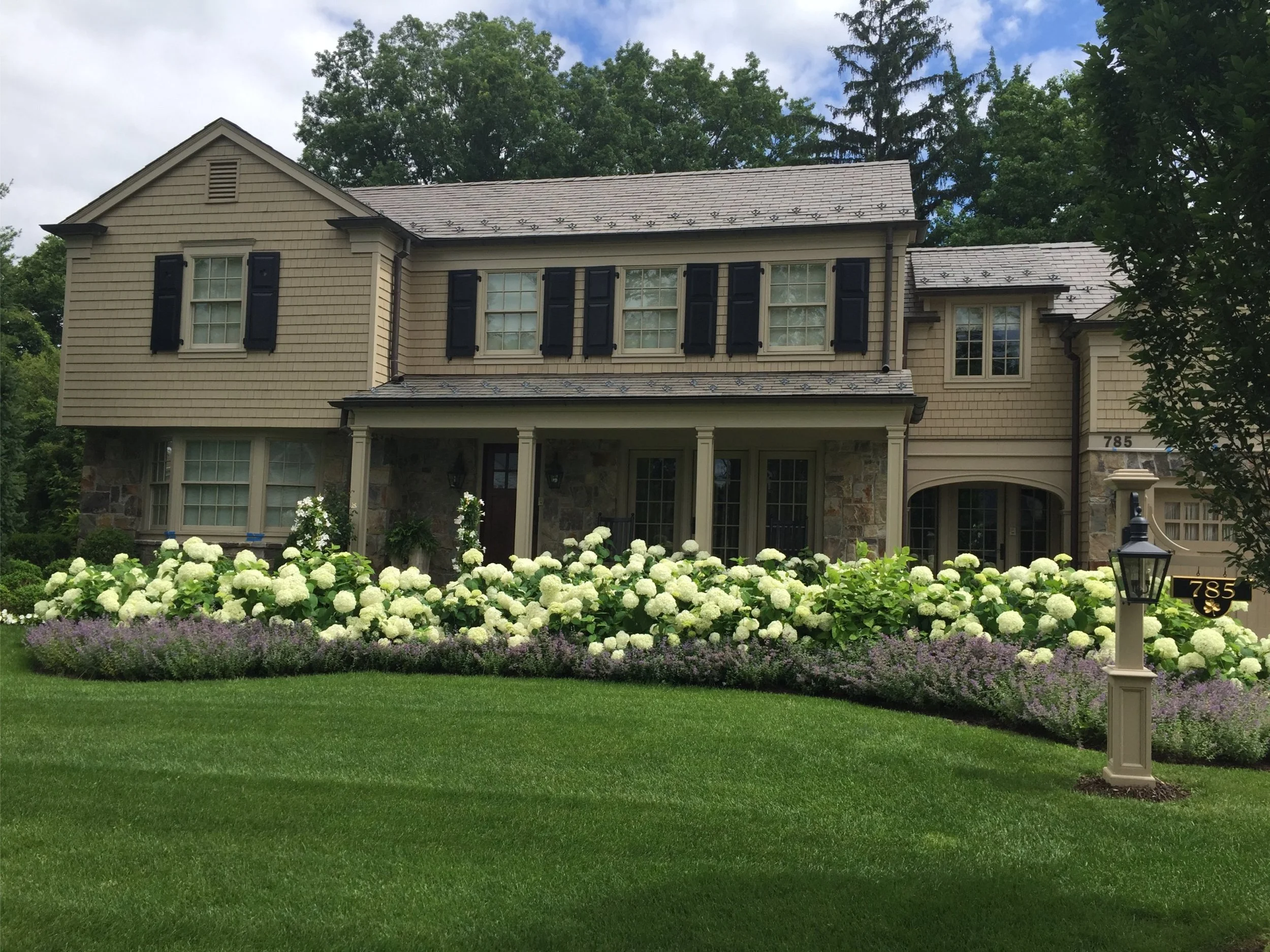Border plantings softening hardscape edges and exterior architecture in Babylon, NY