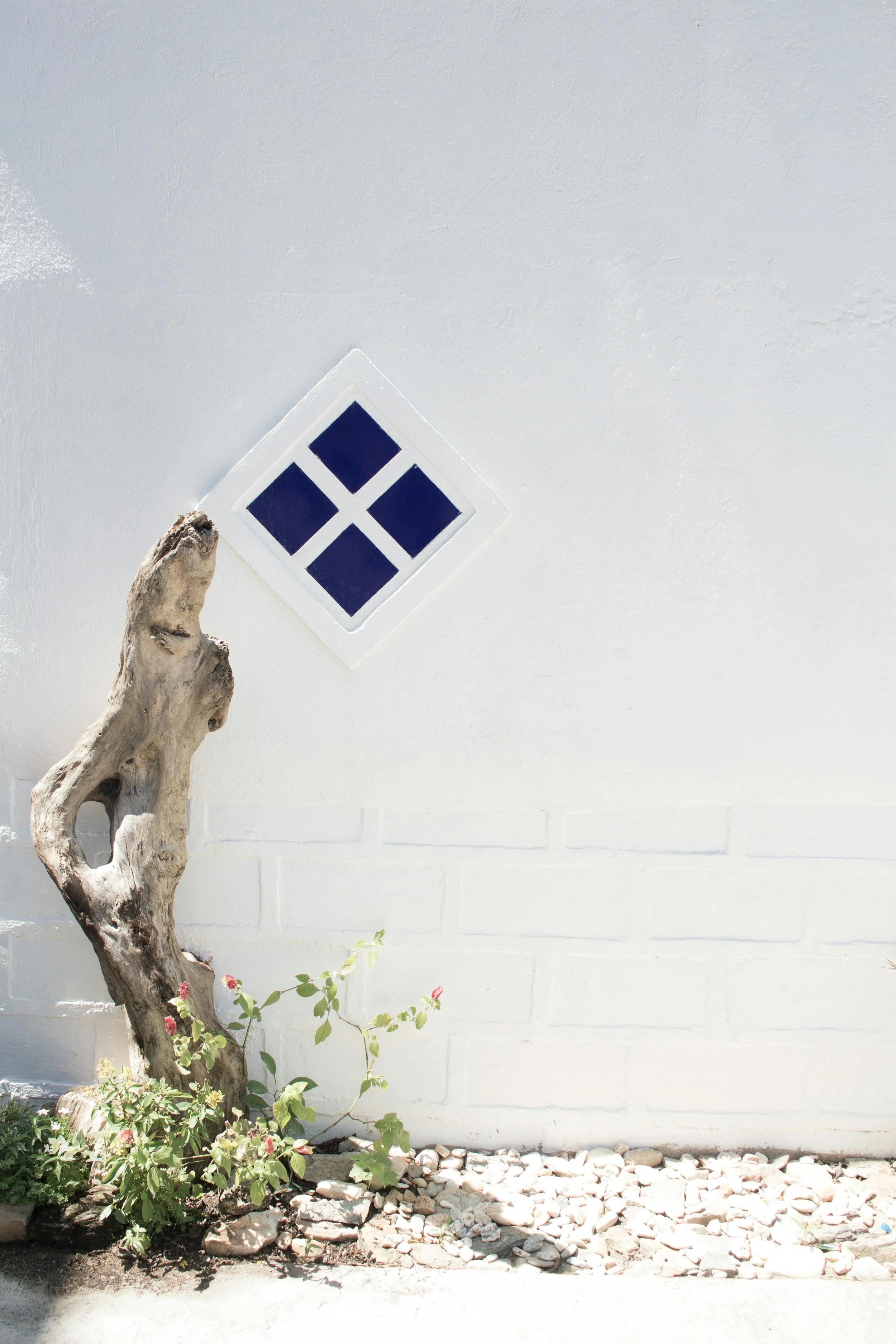 A white exterior wall with a small, square window set in a diagonal orientation. The window has four dark blue panes separated by white dividers. Next to the wall, there is a piece of driftwood or weathered wood leaning against it, and some green plants and pink flowers growing at the base. Pebbles cover the ground below.