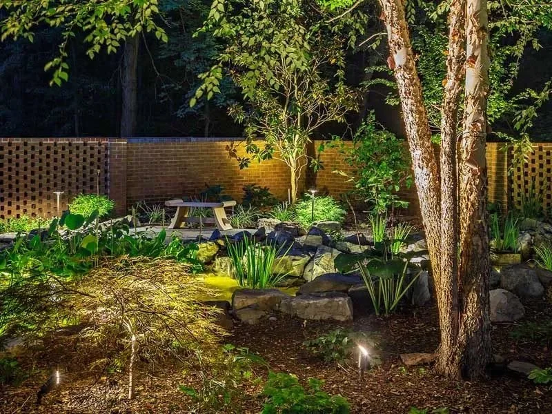 Nighttime view of a landscaped backyard garden with trees, rocks, a patio table, plants, and decorative lighting.