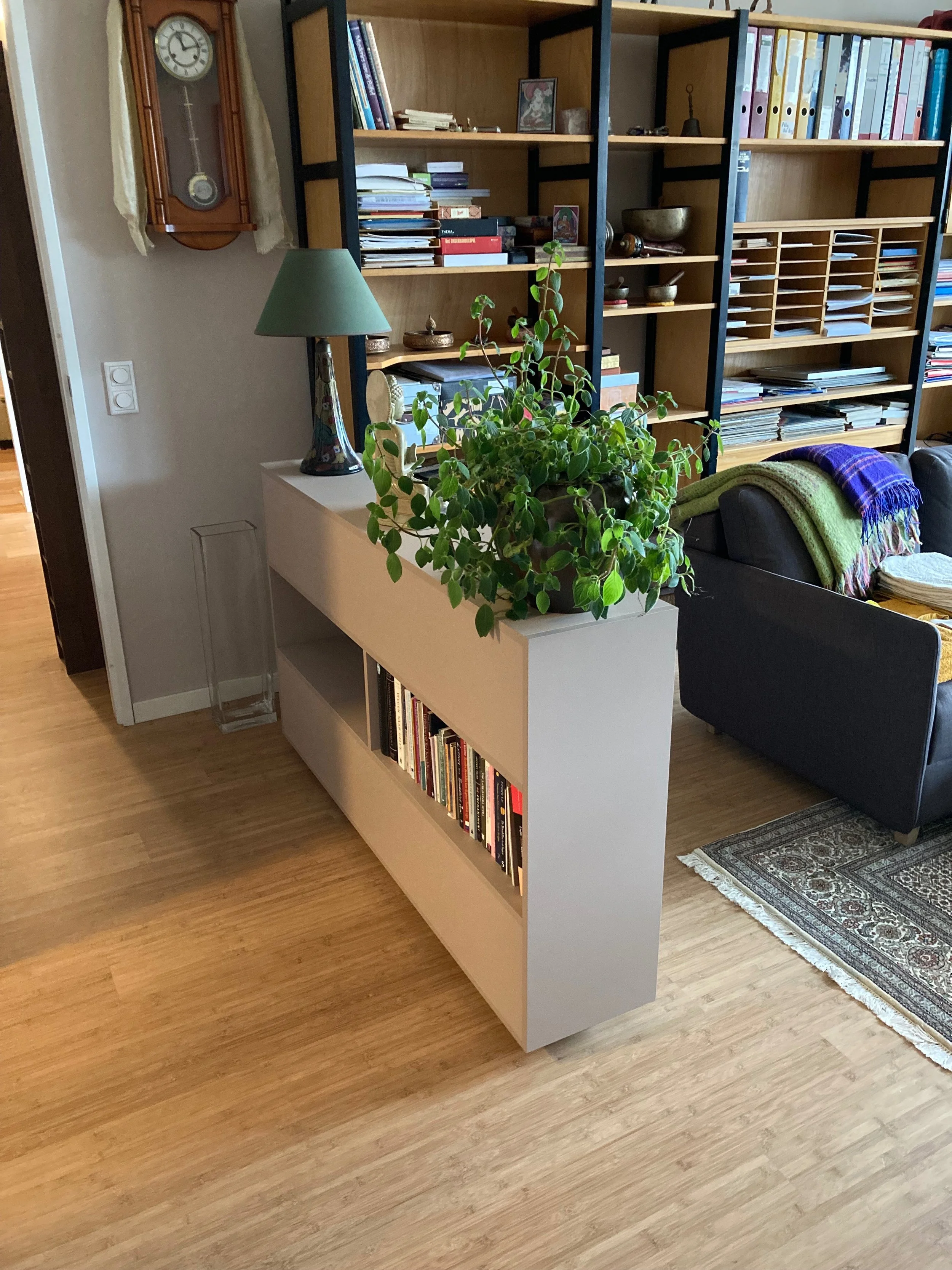 Lage kast op maat met geïntegreerde boekenplank, ontworpen door Tije Interieur. Modern meubel in matgrijze afwerking met plant en tafellamp, geplaatst in een sfeervolle woonkamer met houten vloer in Zutphen (Gelderland).