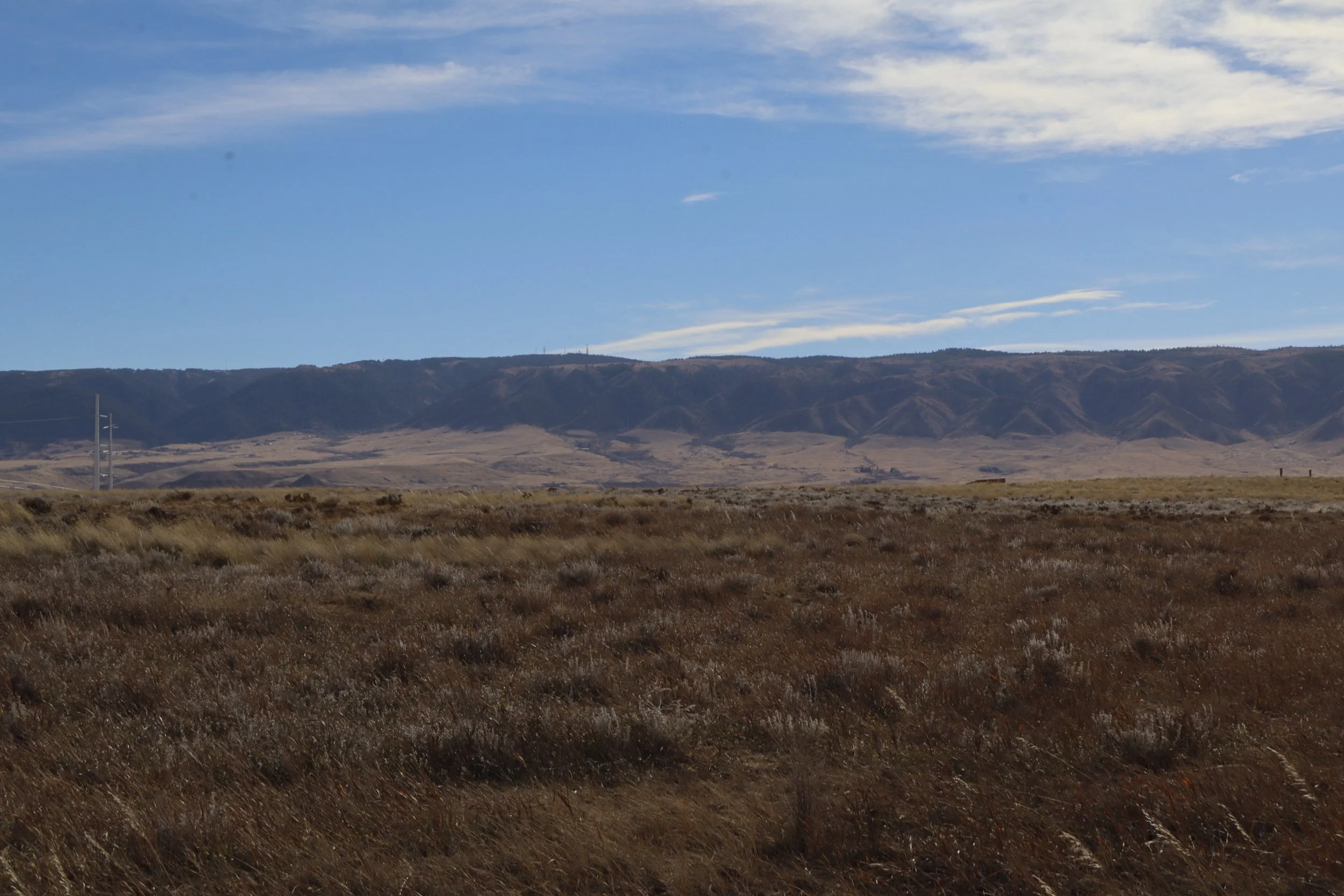 Open grassland or plain with brown grasses in the foreground, rolling hills and mountains in the background, and a partly cloudy sky above.