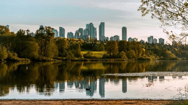 Image of a lake with reflections of trees and city skyline in the background, with a duck swimming in the water
