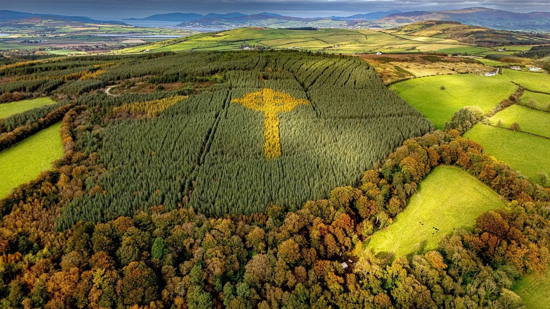 Aerial view of a large farmland with a crop circle pattern formed by yellow and green plants in a field, surrounded by green trees and rolling hills in the background.