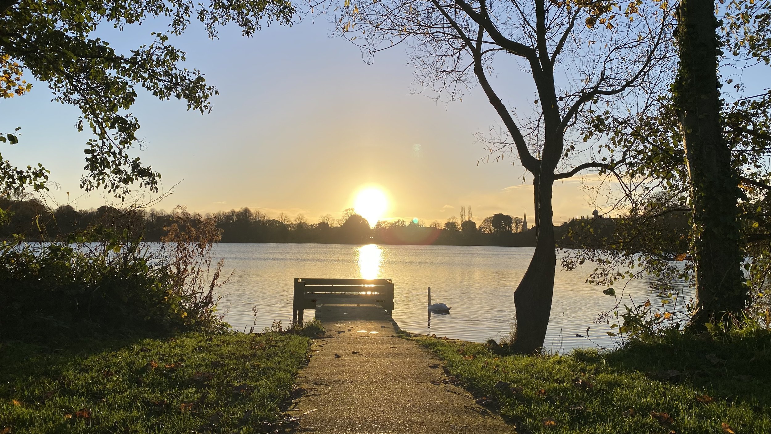 Sunset over a lake with trees on either side, a bench and a swan on the water in the foreground.