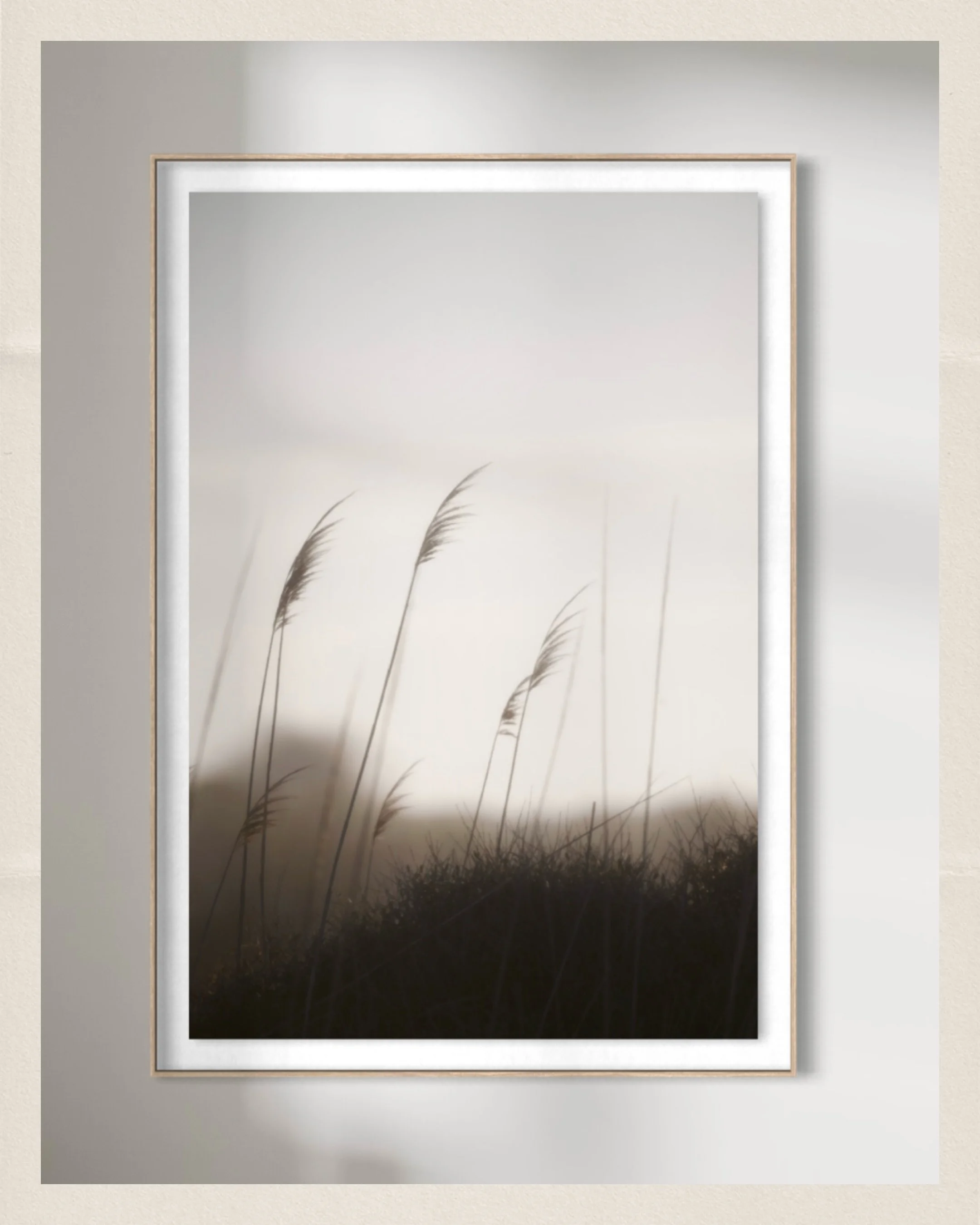Herbes dans le vent //

Das Bild entstand am fr&uuml;hen Morgen in der Camargue, direkt am Strand. Das Rauschen des Meeres, das Licht - und die M&uuml;cken 🤣

Aber ich w&uuml;rde meinen, es hat sich gelohnt. Ein zeitloses Bild f&uuml;r deine vier W&