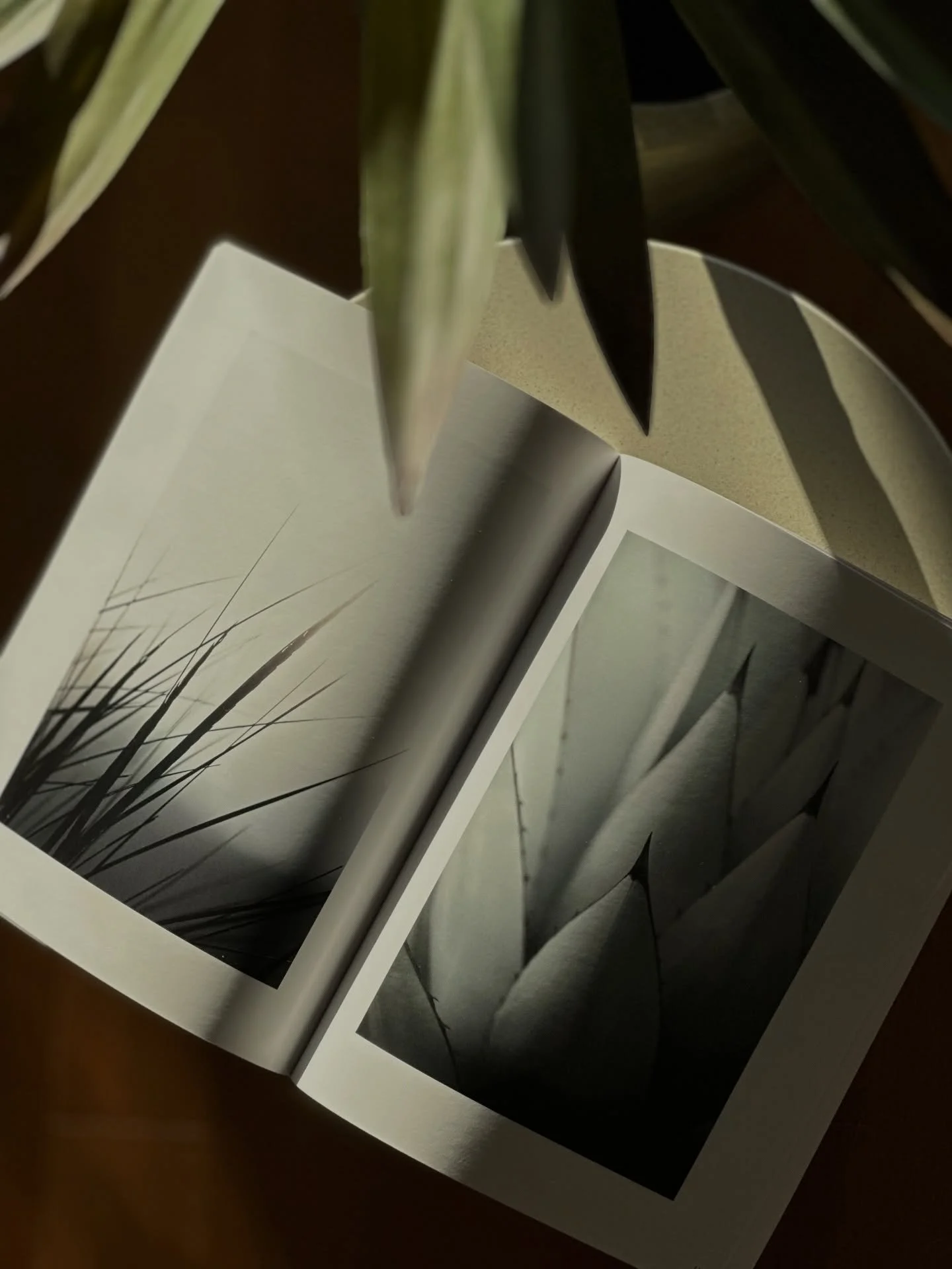 Some of my images from @studio.bildwerk in one of the latest editions of @docu.magazine 🧡