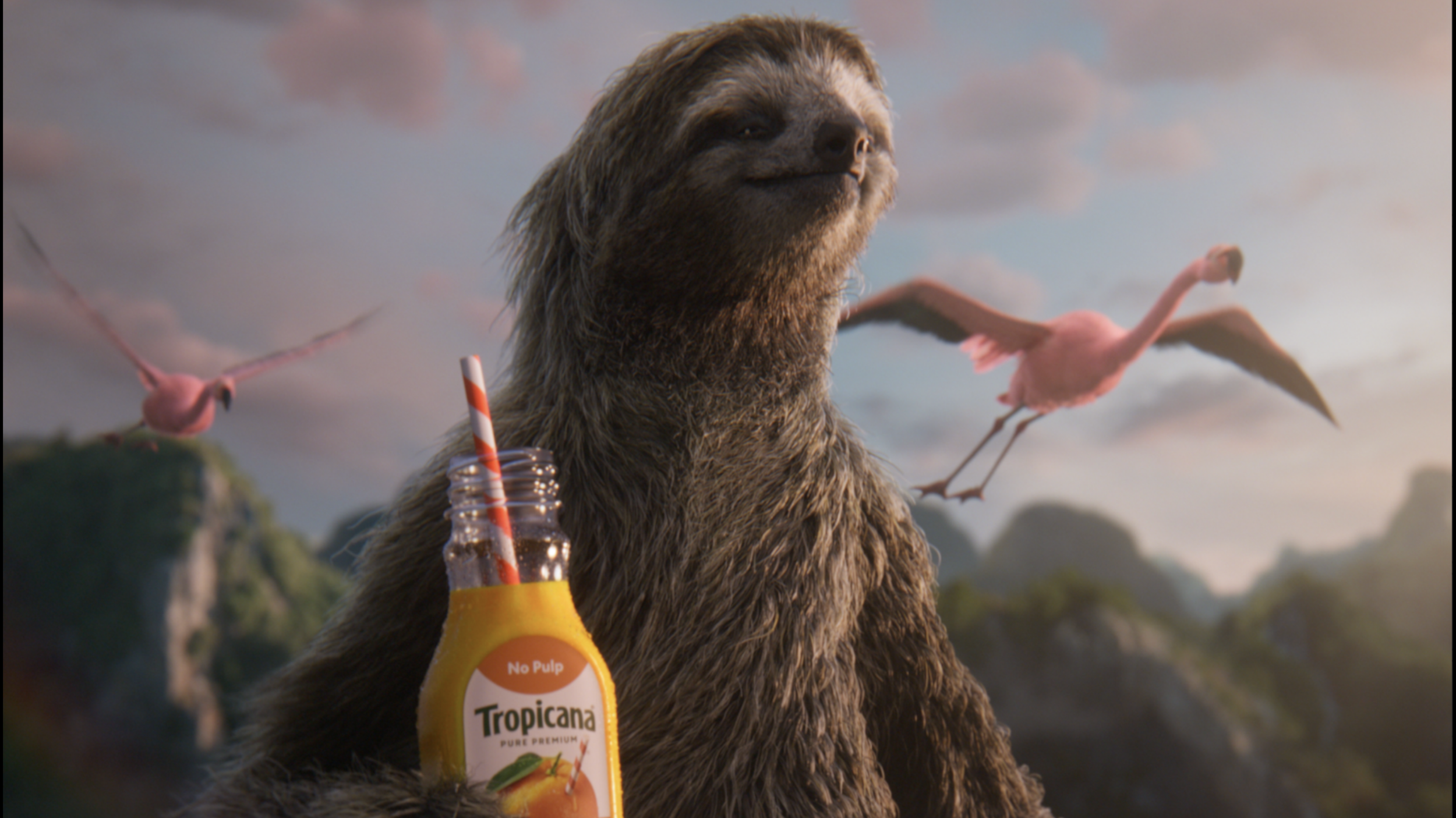 tropicana orange juice