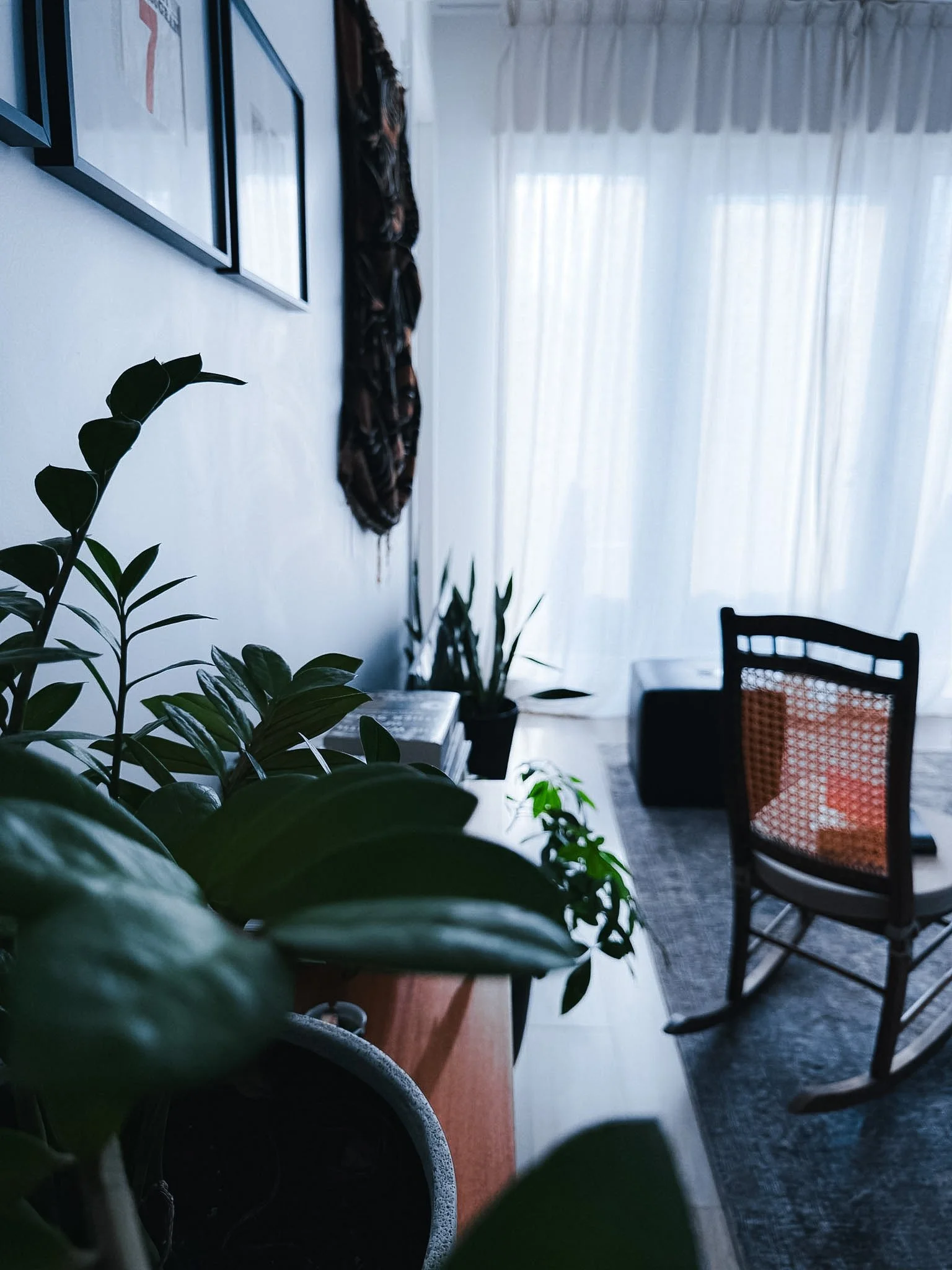 A living room with a plant in the foreground, a wooden table, a patterned chair, white curtains, framed pictures on the wall.