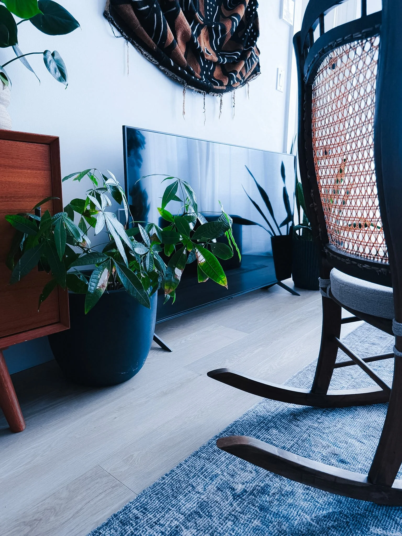 A corner of a living room with two potted plants, a television mounted on the wall, a patterned tapestry hanging above, a black wooden chair with a woven back, a rug with a blue and white pattern, and part of an upholstered chair visible.