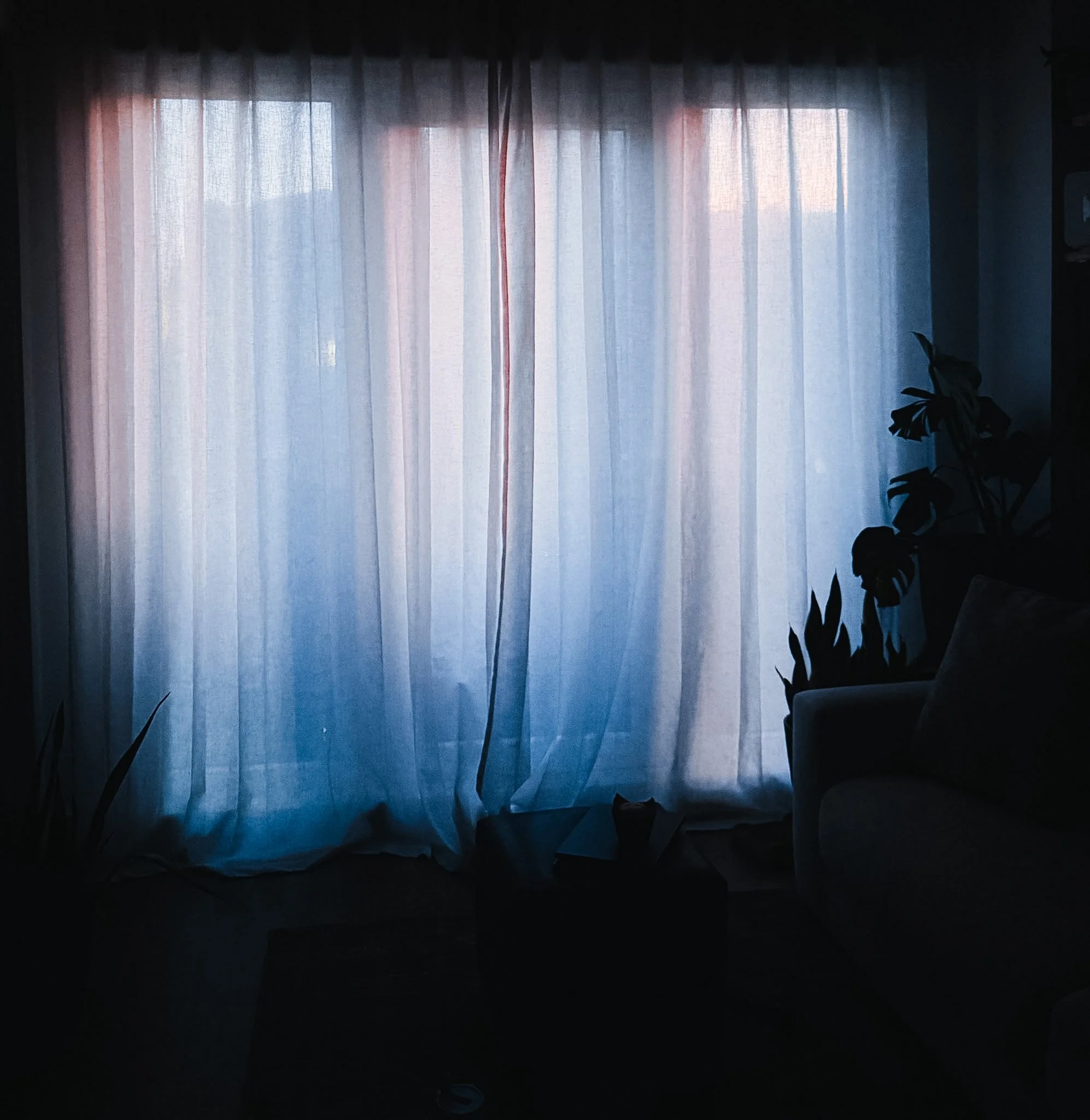 Large light-colored curtains and ambient blue-purple light, with some plants and furniture visible.