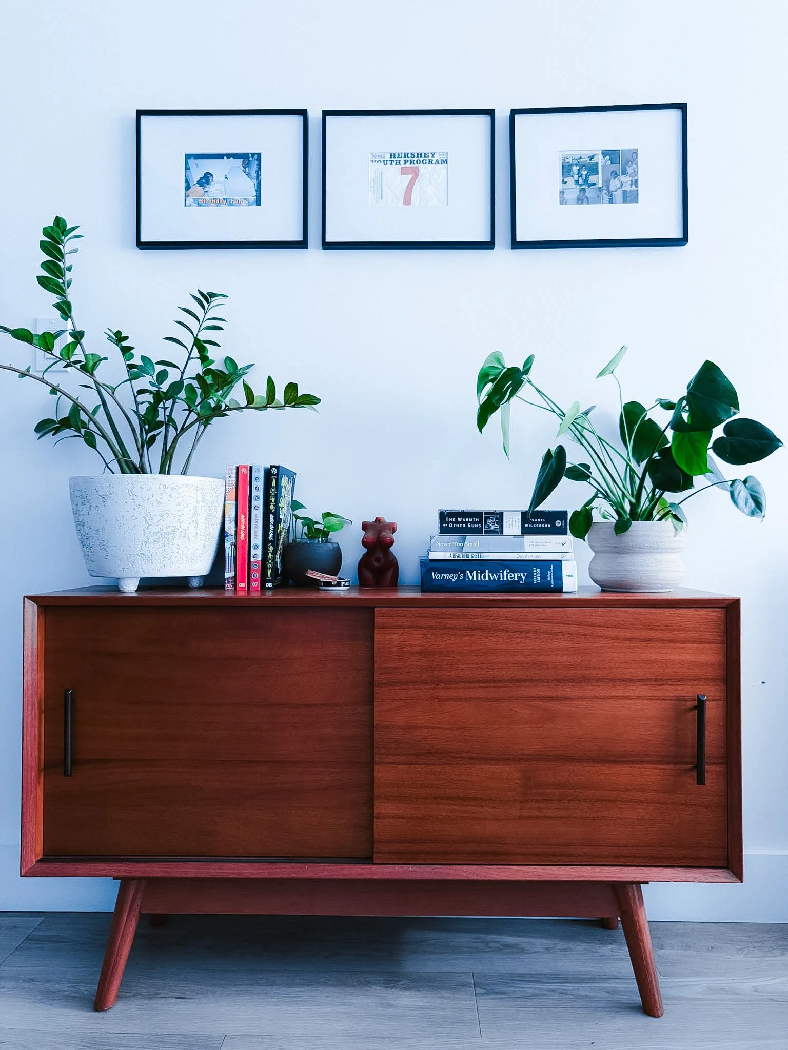 A wooden sideboard with three plants on top, a stack of books, and a small sculpture, with framed photographs on the wall above.