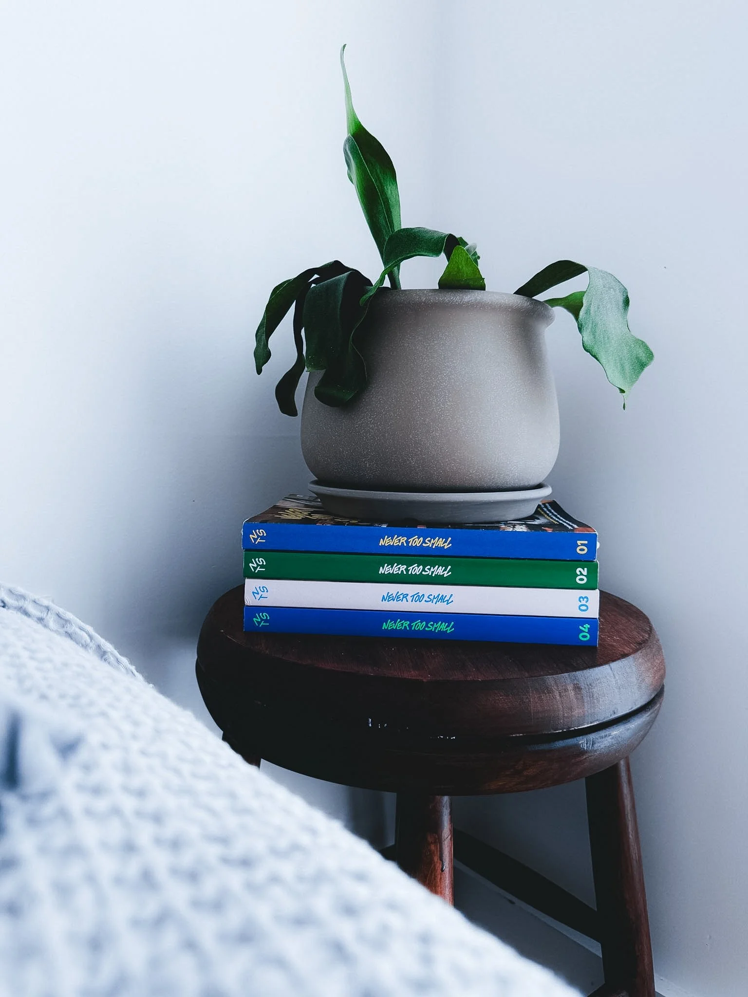 A potted plant with green leaves on a dark wooden stool, placed on top of a stack of four colorful books titled 'Never Too Small' with numbers 01 to 04, against a plain light-colored wall.