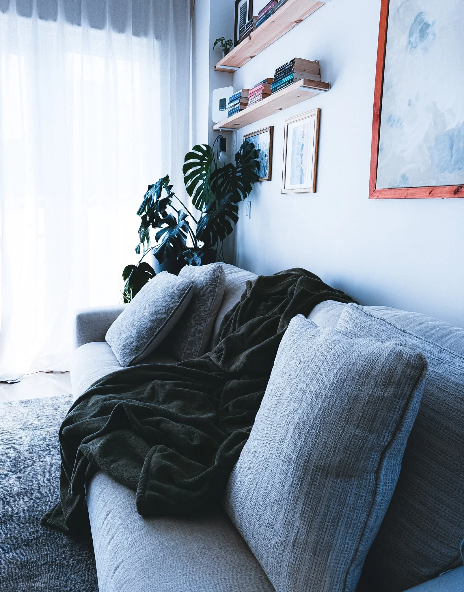A living room with a light gray sofa, dark blanket, and multiple gray and beige pillows. A large window with white curtains filters sunlight into the room. There are three wooden floating shelves on the wall holding books and a small potted plant. Tw