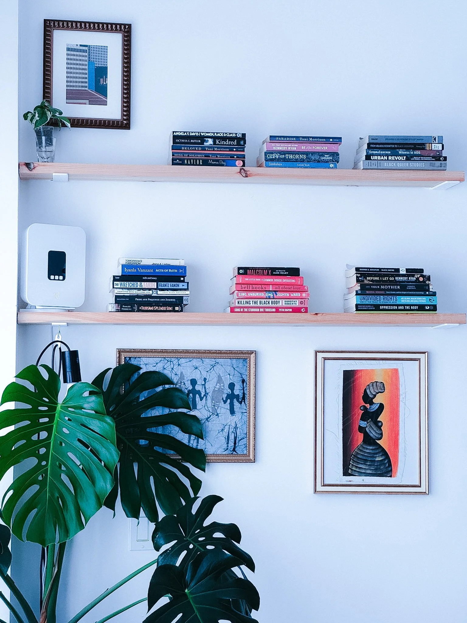 A wall with two wooden shelves holding books, framed artwork, and a large green plant with monstera leaves.