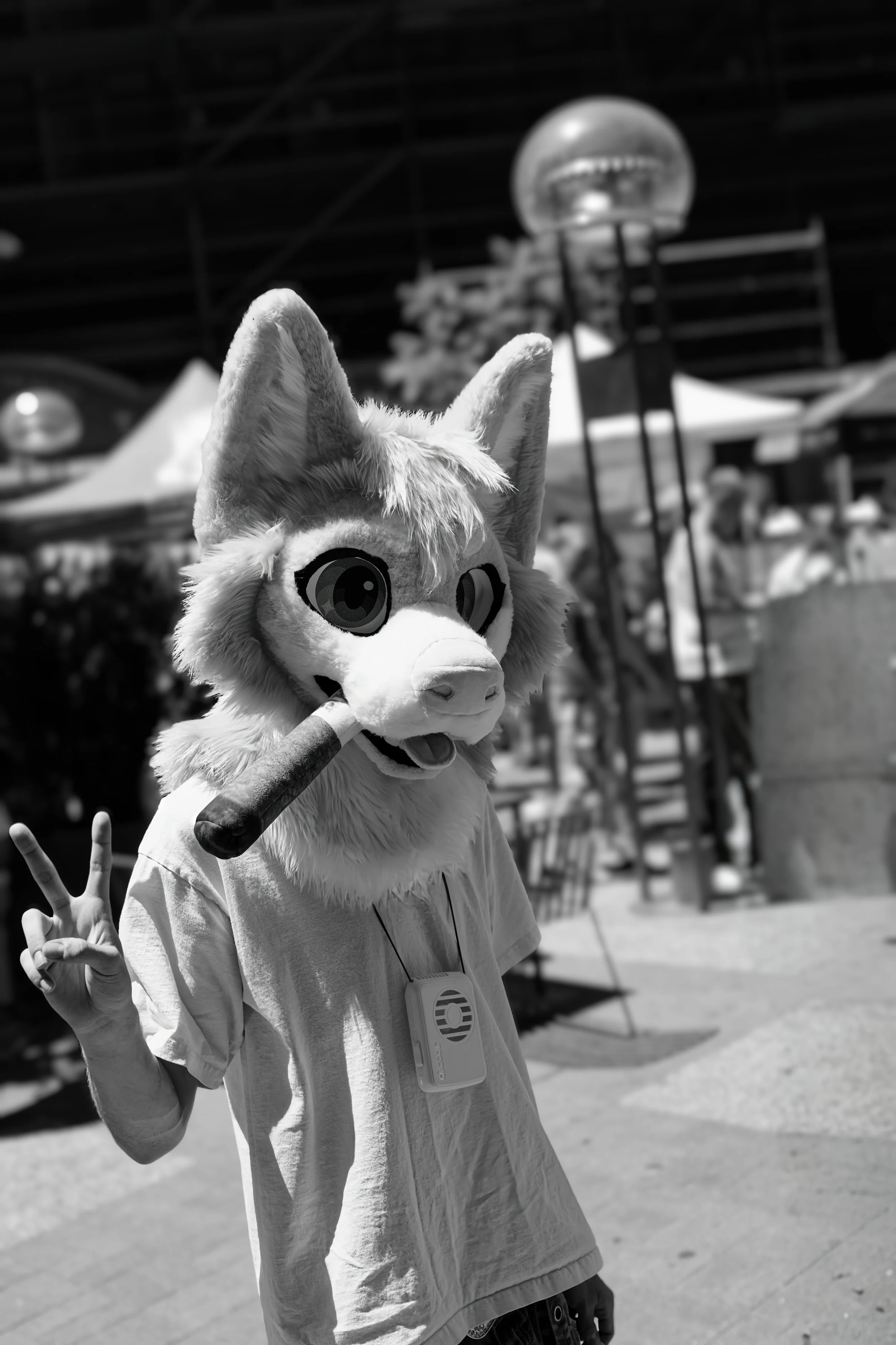 IMG_2389_DxO.jpg
