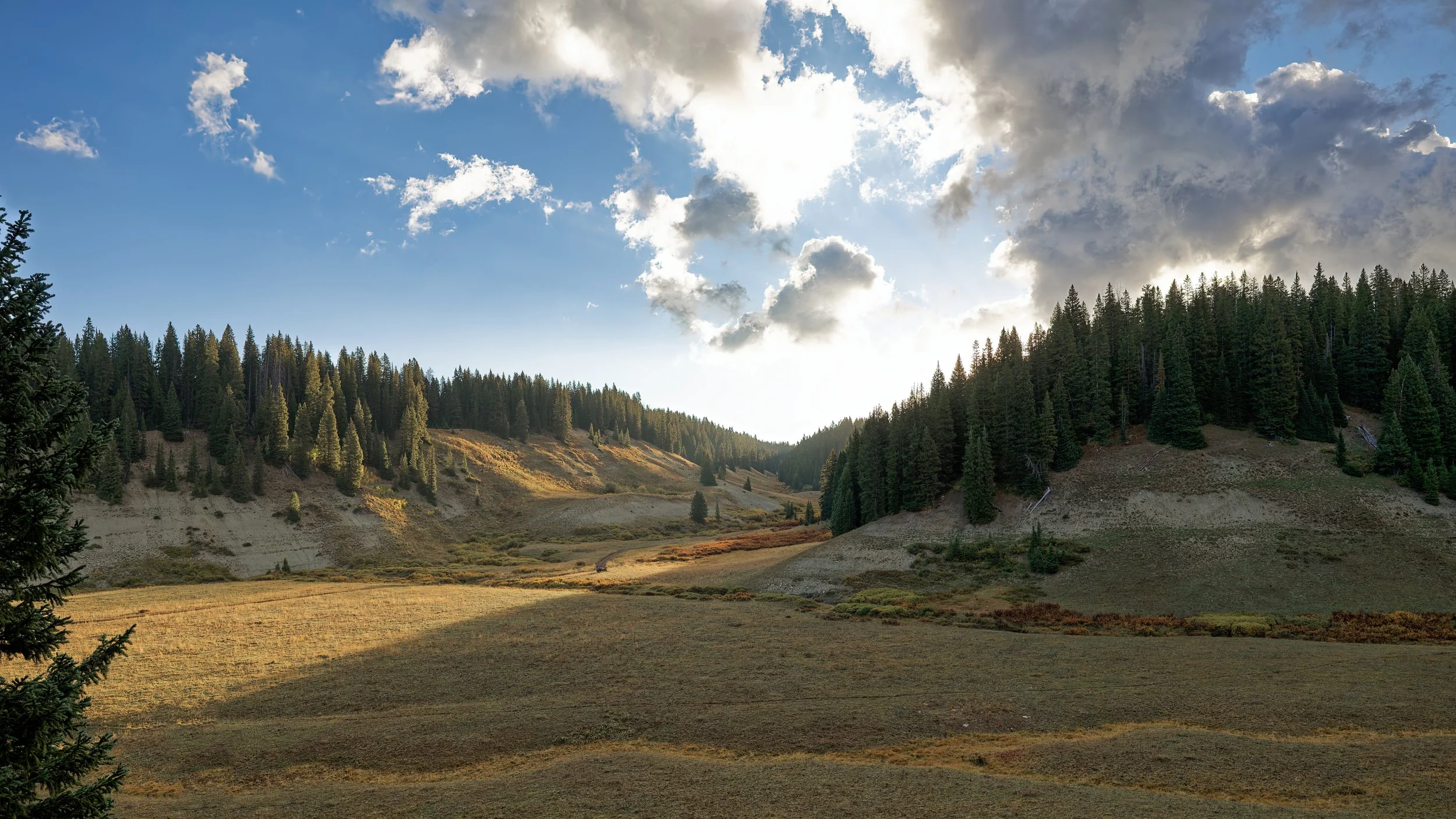 R62_4836_DxO.jpg