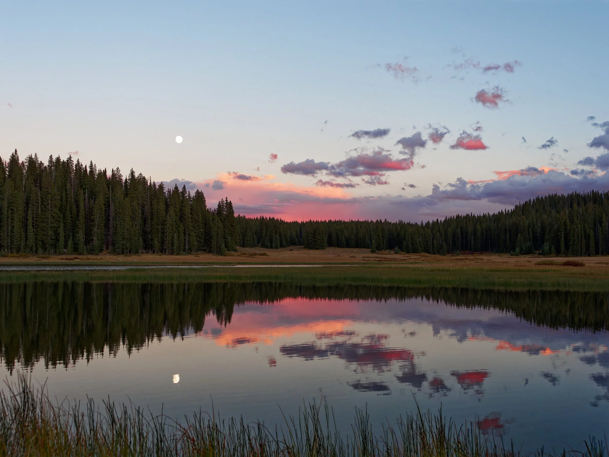 P1121626_DxO (2).jpg