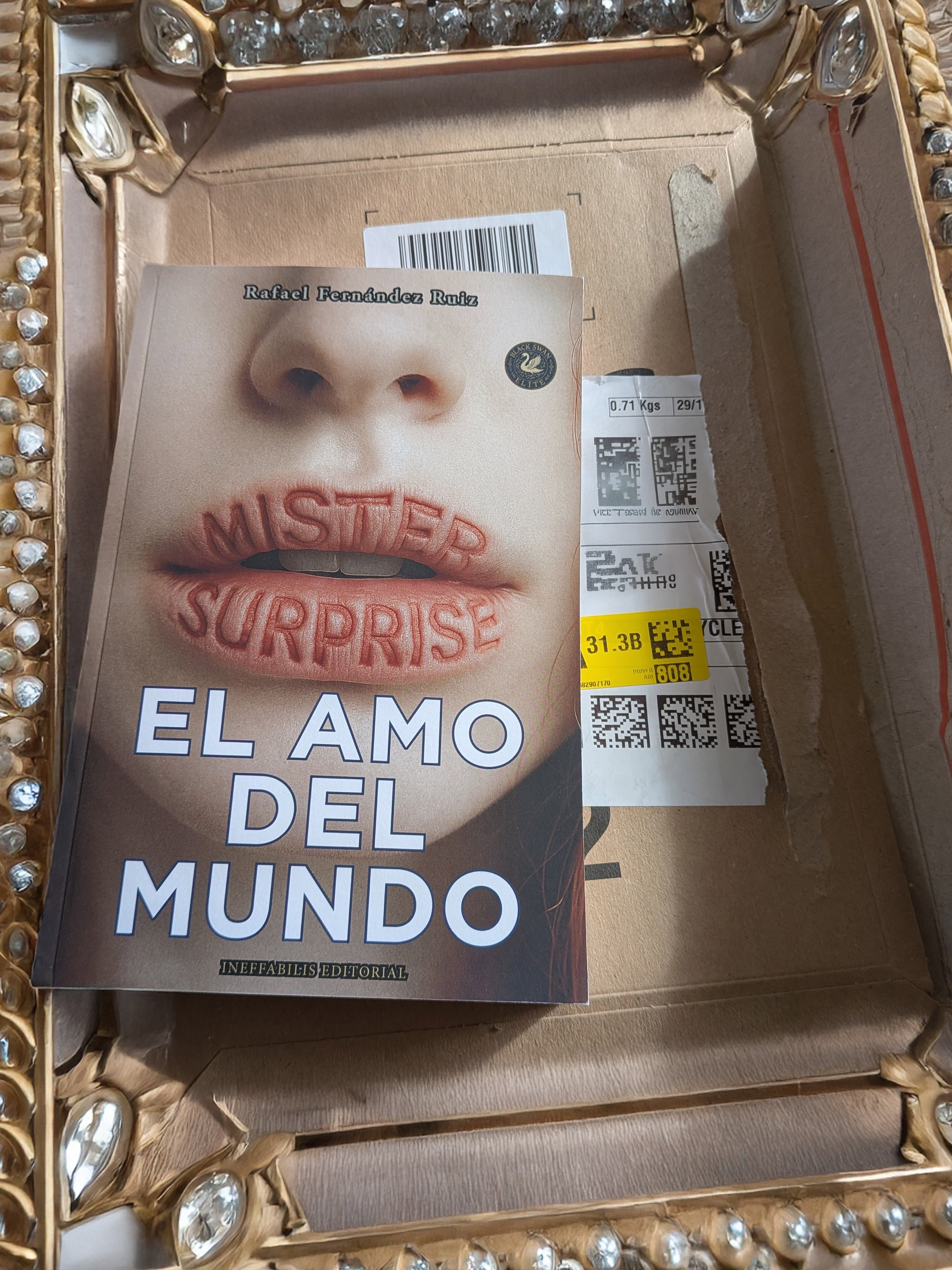 ¡Nueva novela! Mr.Surprise ha nacido.