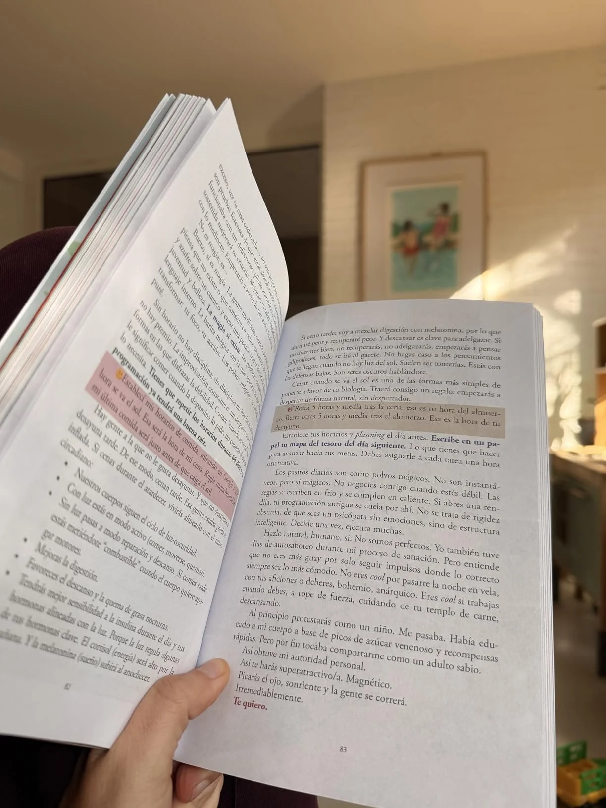 libro de adelgazar efectivo