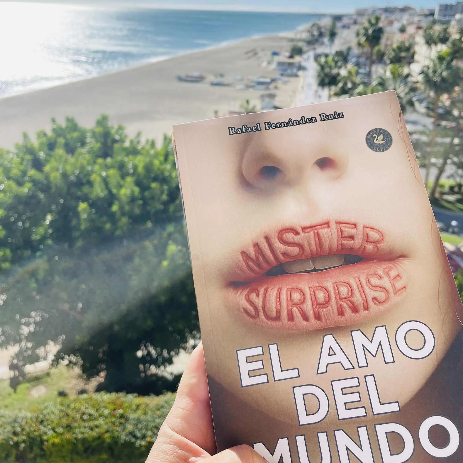 foto de la novela Mister Surprise en un blacón, en la playa.
