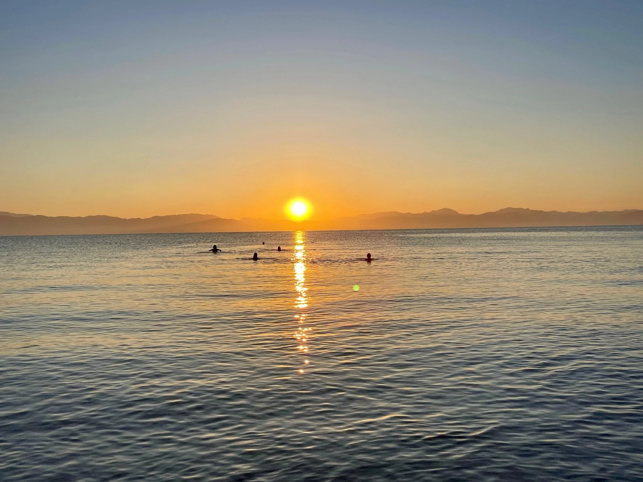 Community & Immersions