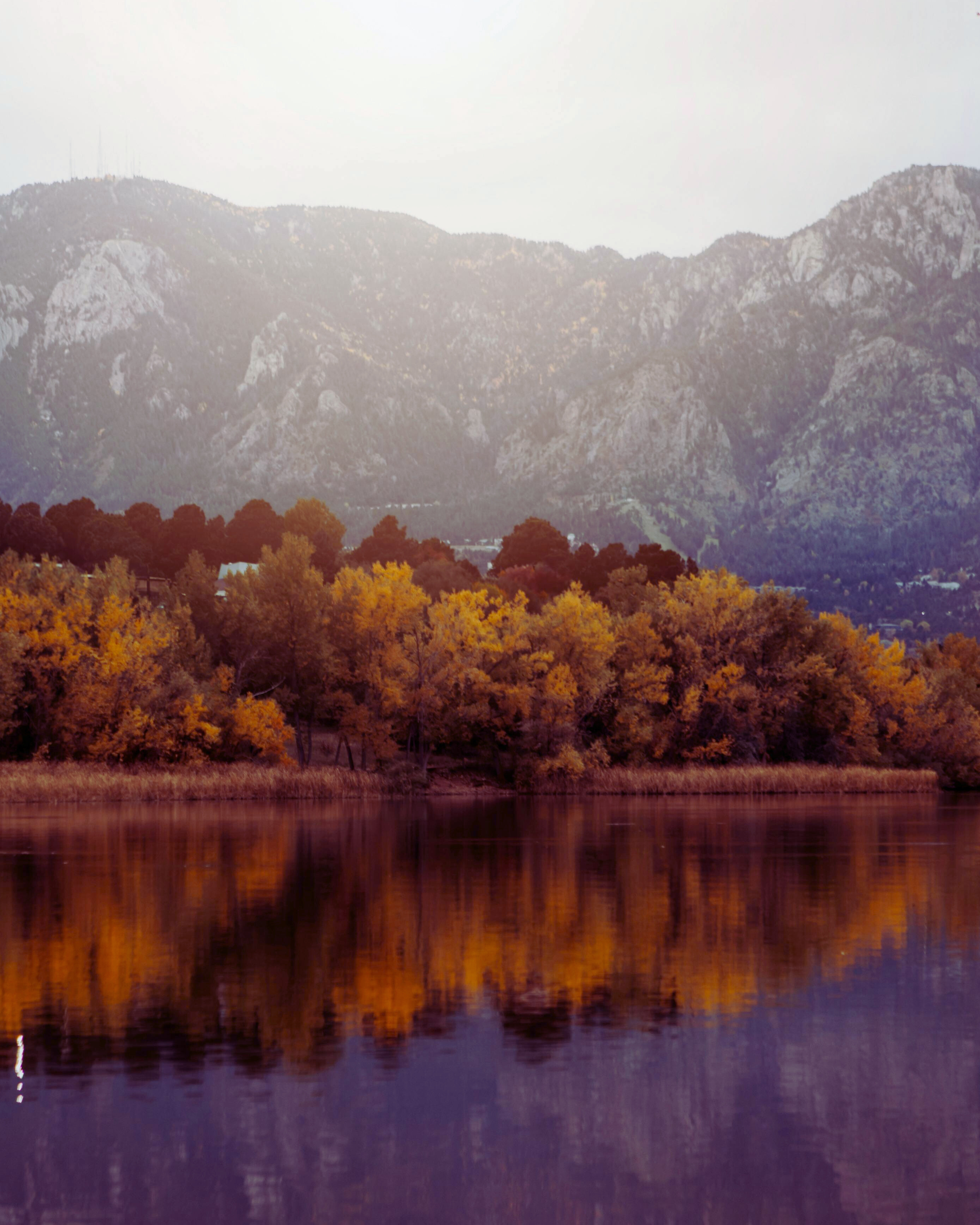 Scenic landscape with a mountain range in the background, a line of colorful trees with yellow, orange, and red leaves in the middle, and a calm river reflecting the trees in the foreground.